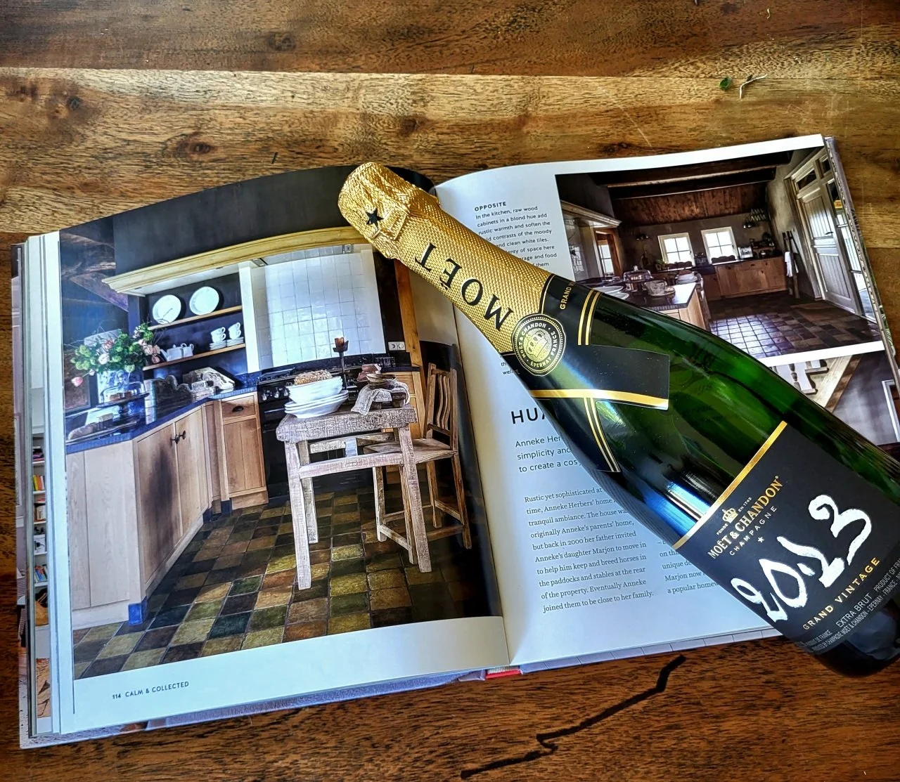 Image of the Wellness Home book inspirationjpeg