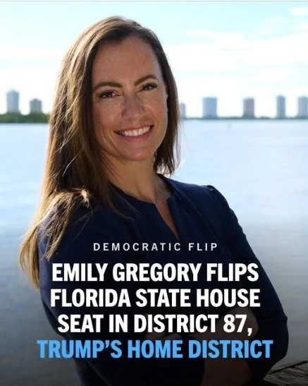 A first-time Democratic candidate just flipped a legislative seat in Trump&rsquo;s own backyard. State by state, election by election, there is more and more reason to hope. #voteblue @thedemocrats