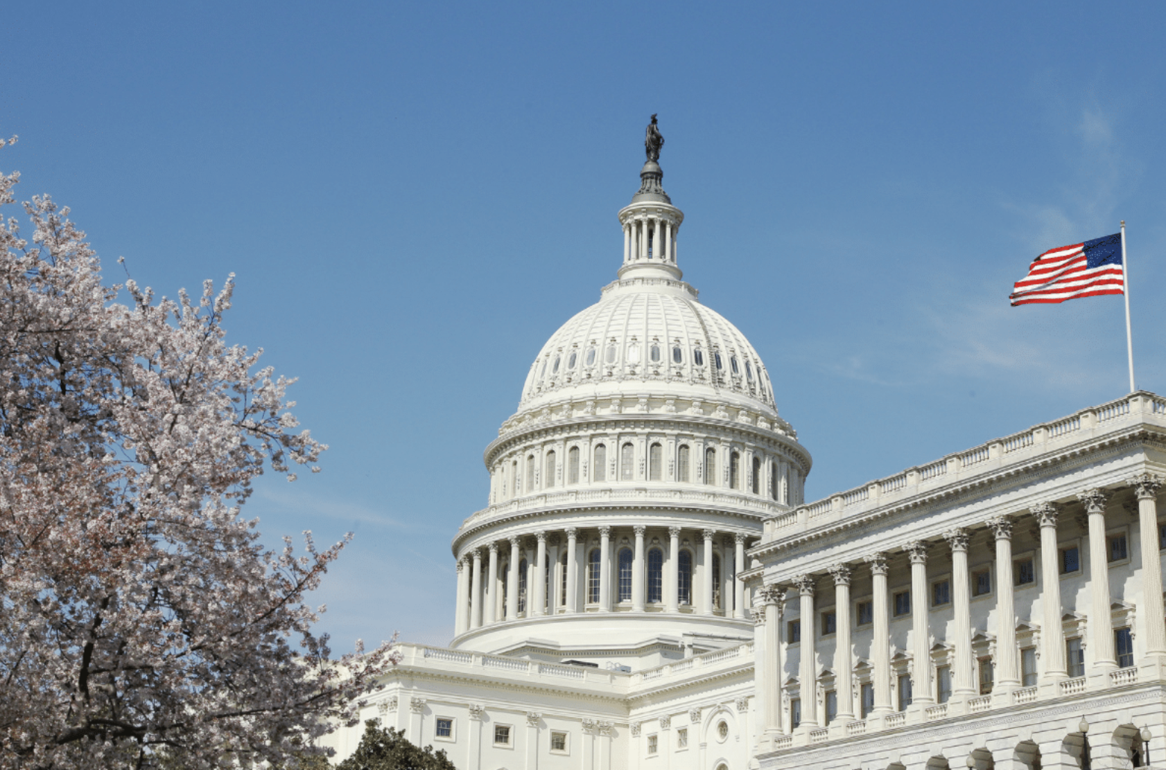 Congressional Candidate Forum