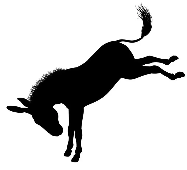 Waynesboro Democratic Committee Community Hoedown Throwdown  