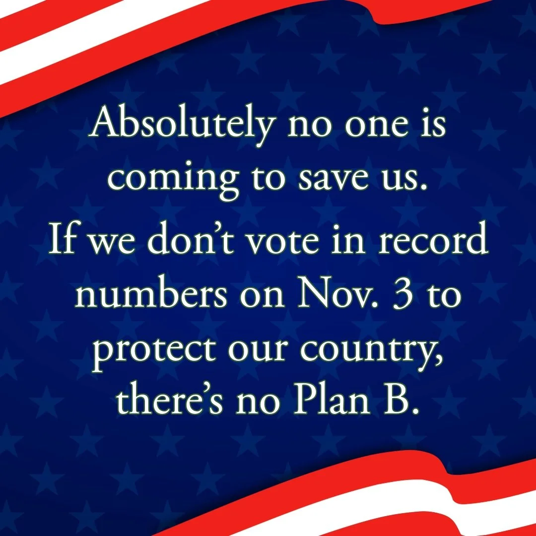 Every one of us has a choice to make: Do we let the wholesale chaos and corruption of this administration continue, or do we step up and elect a Democratic majority to Congress that will fight back? Hope to see you at the polls.