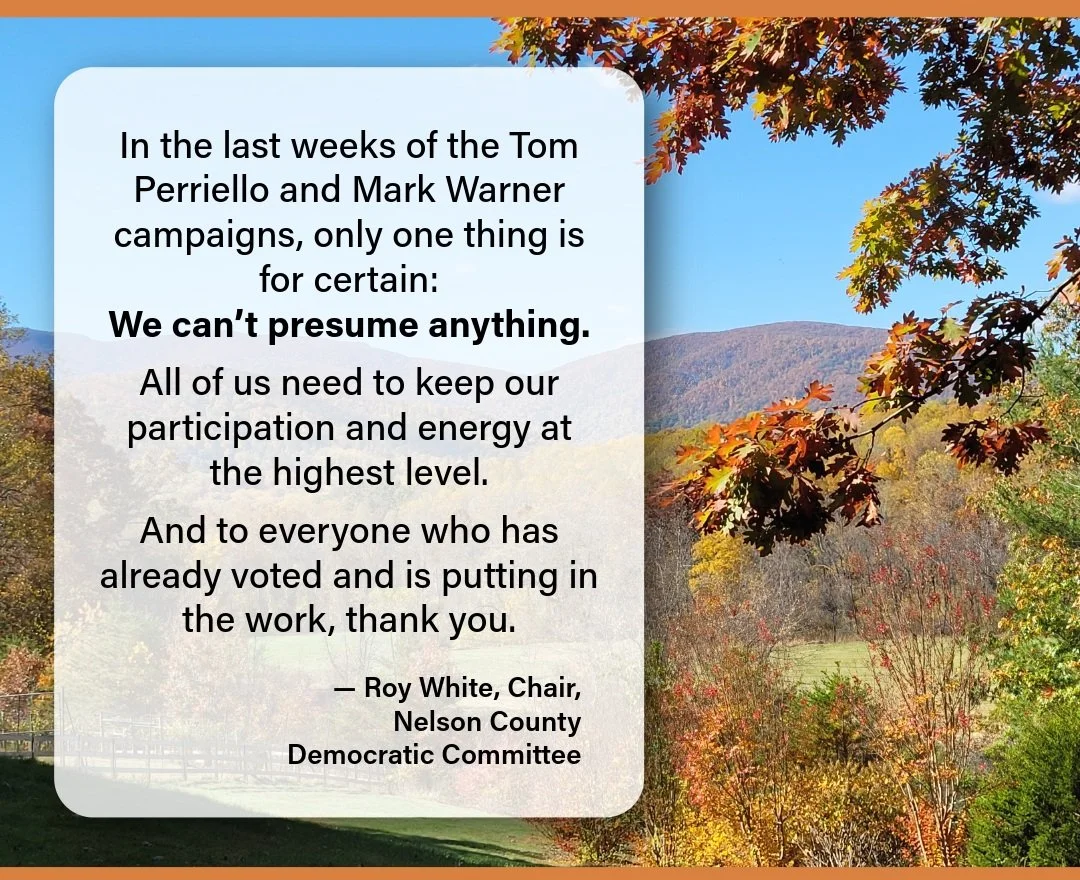 Vote early, or vote absentee, or vote on Nov. 3. Encourage a friend to vote, drive a neighbor to vote, get out the vote for Mark Warner and Tom Perriello, plant a "Vote" sign in your front yard. We're going to save our country one vote at a