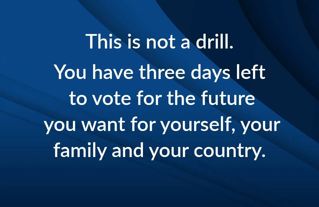 How much damage Trump does in the next two years is directly tied to whether America can succeed in electing a Democratic majority to Congress. Please don't leave this one to chance. In Virginia, vote early on Oct. 30 or Oct. 31, or go to the polls o