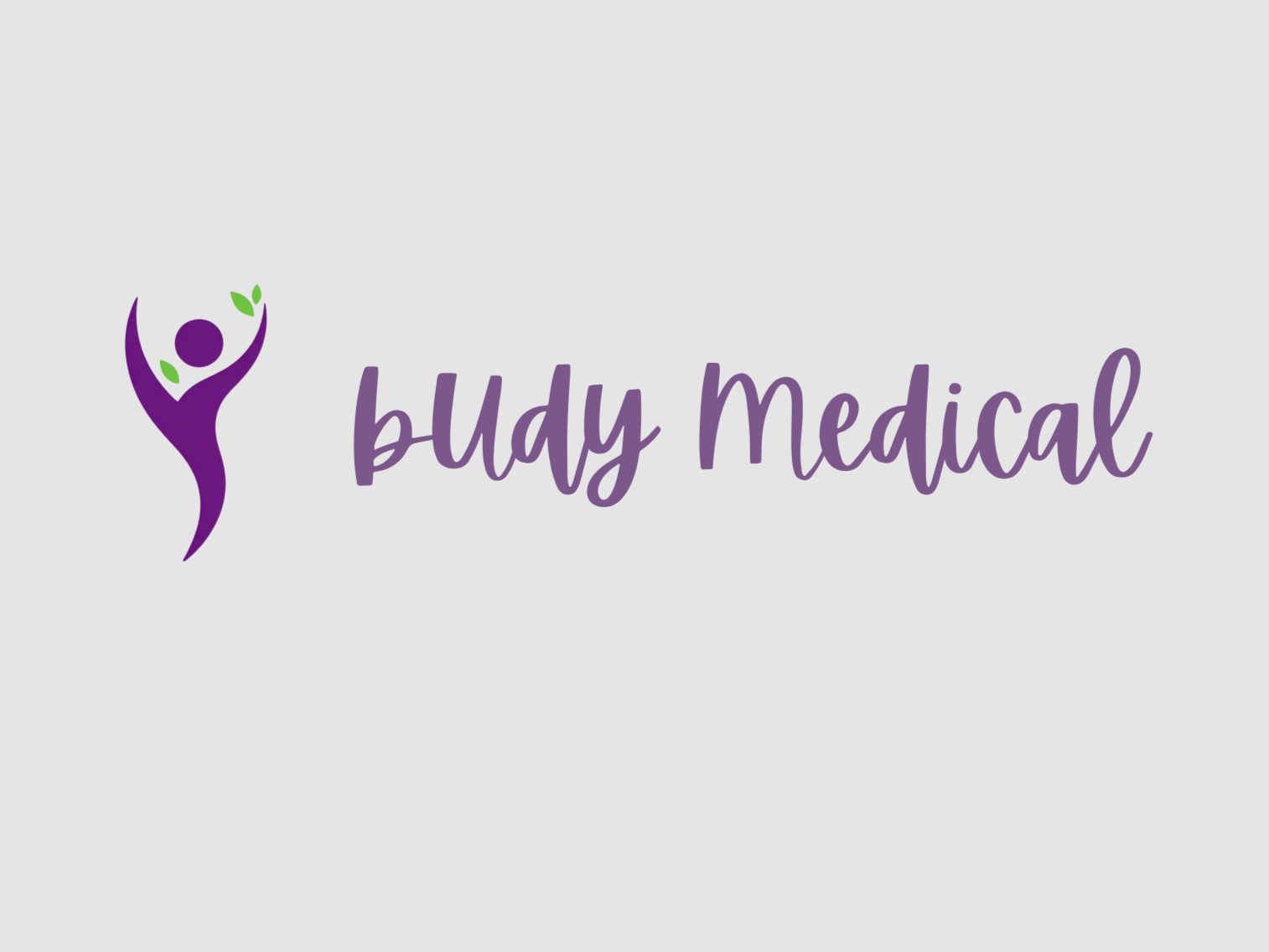 Logo for Buddy Medical featuring a stylized purple figure with green leaves and the text 'Buddy Medical' in purple script.