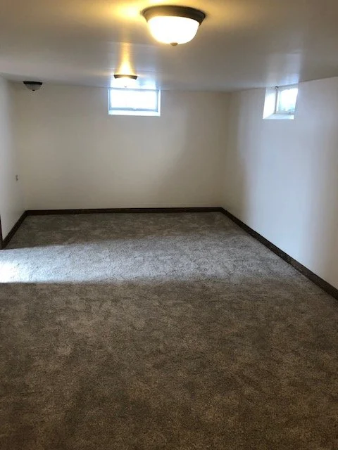 Basement Renovation - Complete