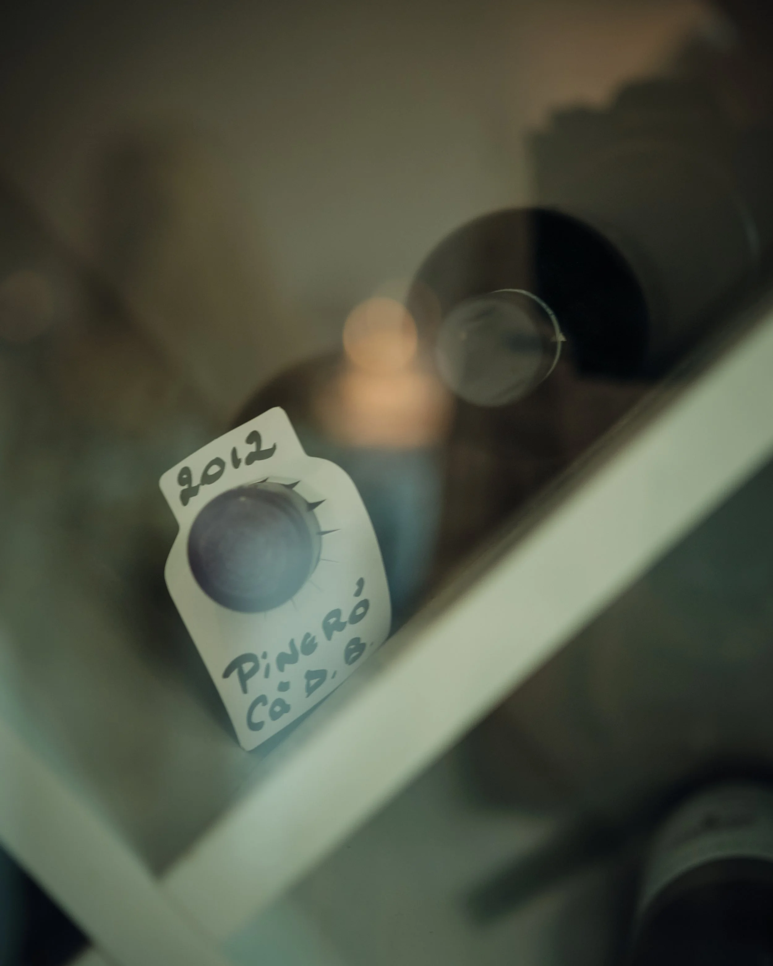 OG FUJI 17.jpg