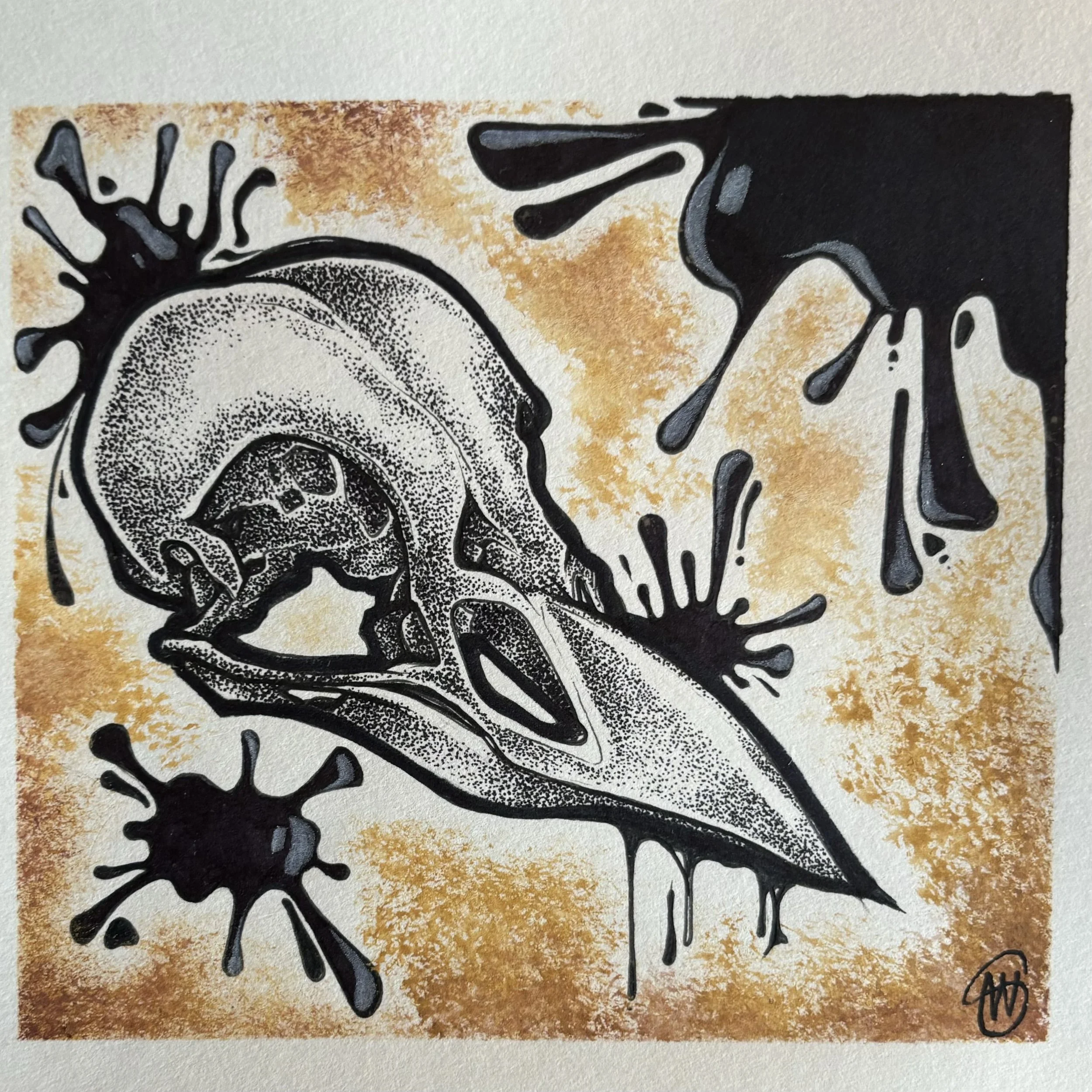 Stippled Crow