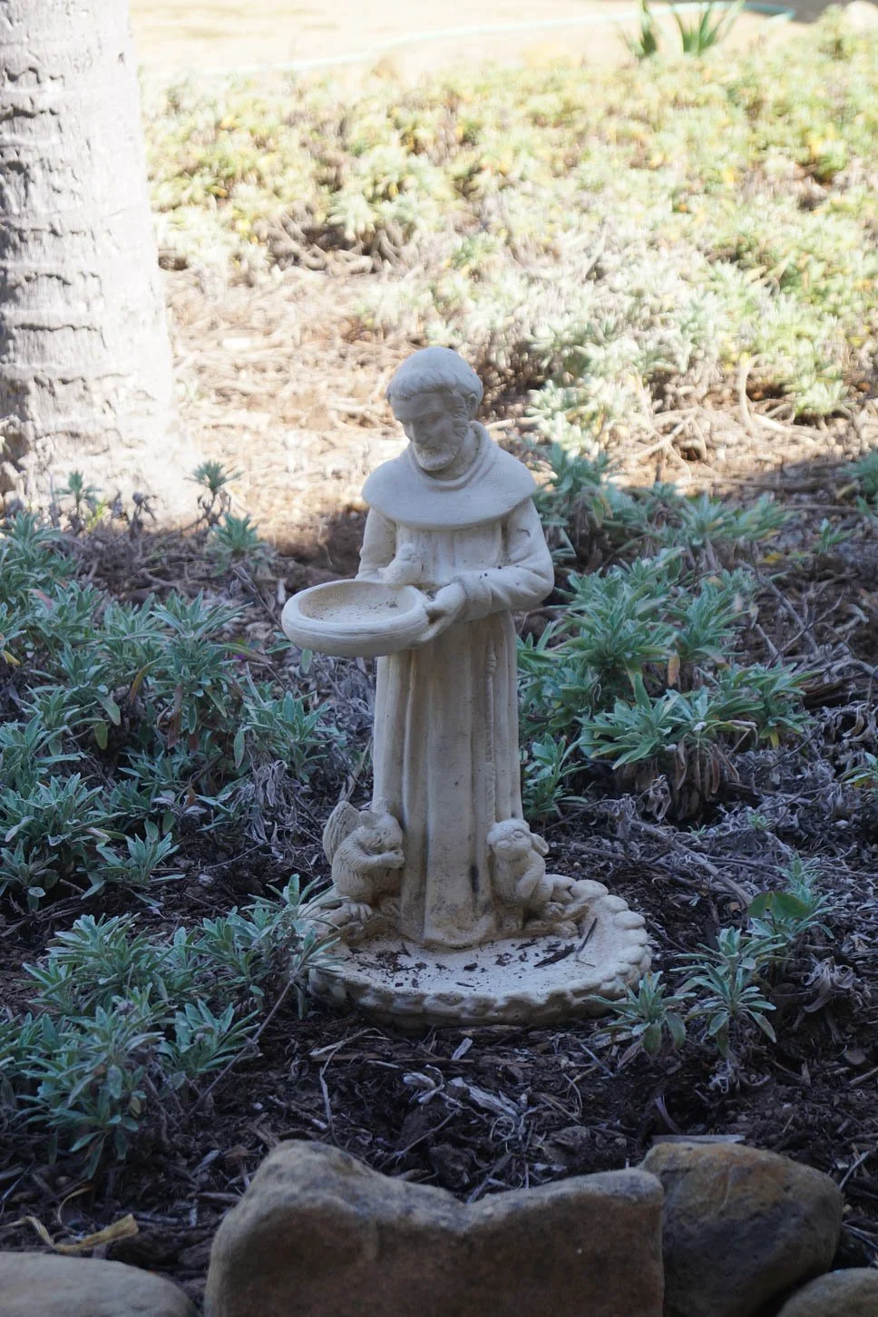 Mission Santa Barbara: Saint Francis