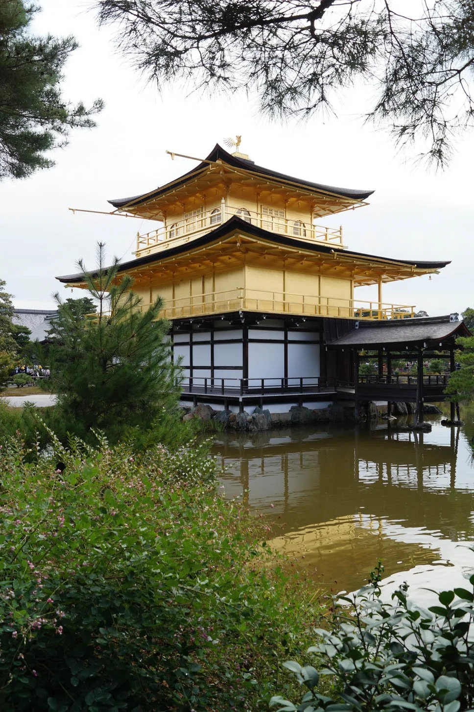Kyoto - Golden Pavilion and Kinkakuji Temple