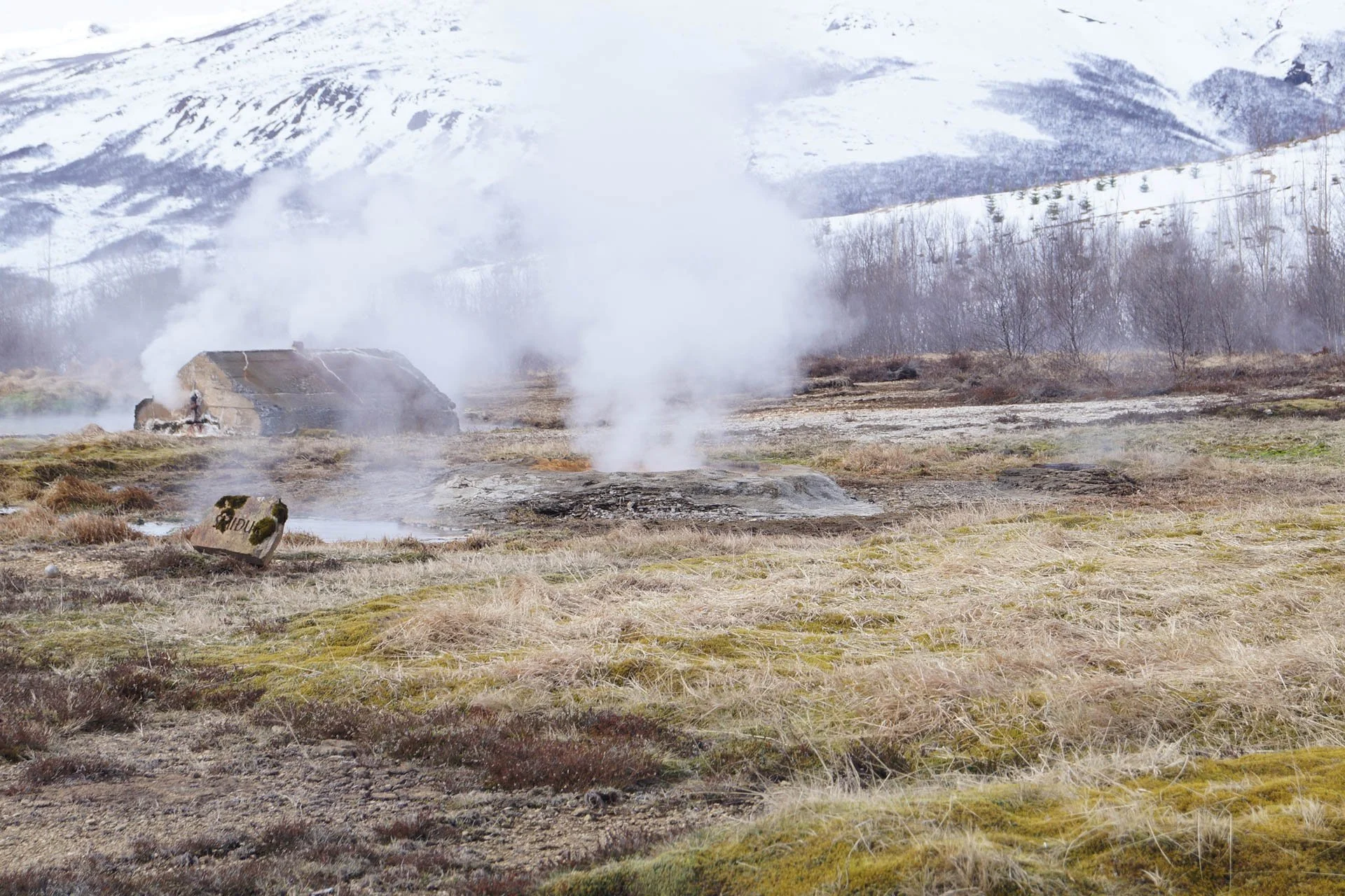 Geysir