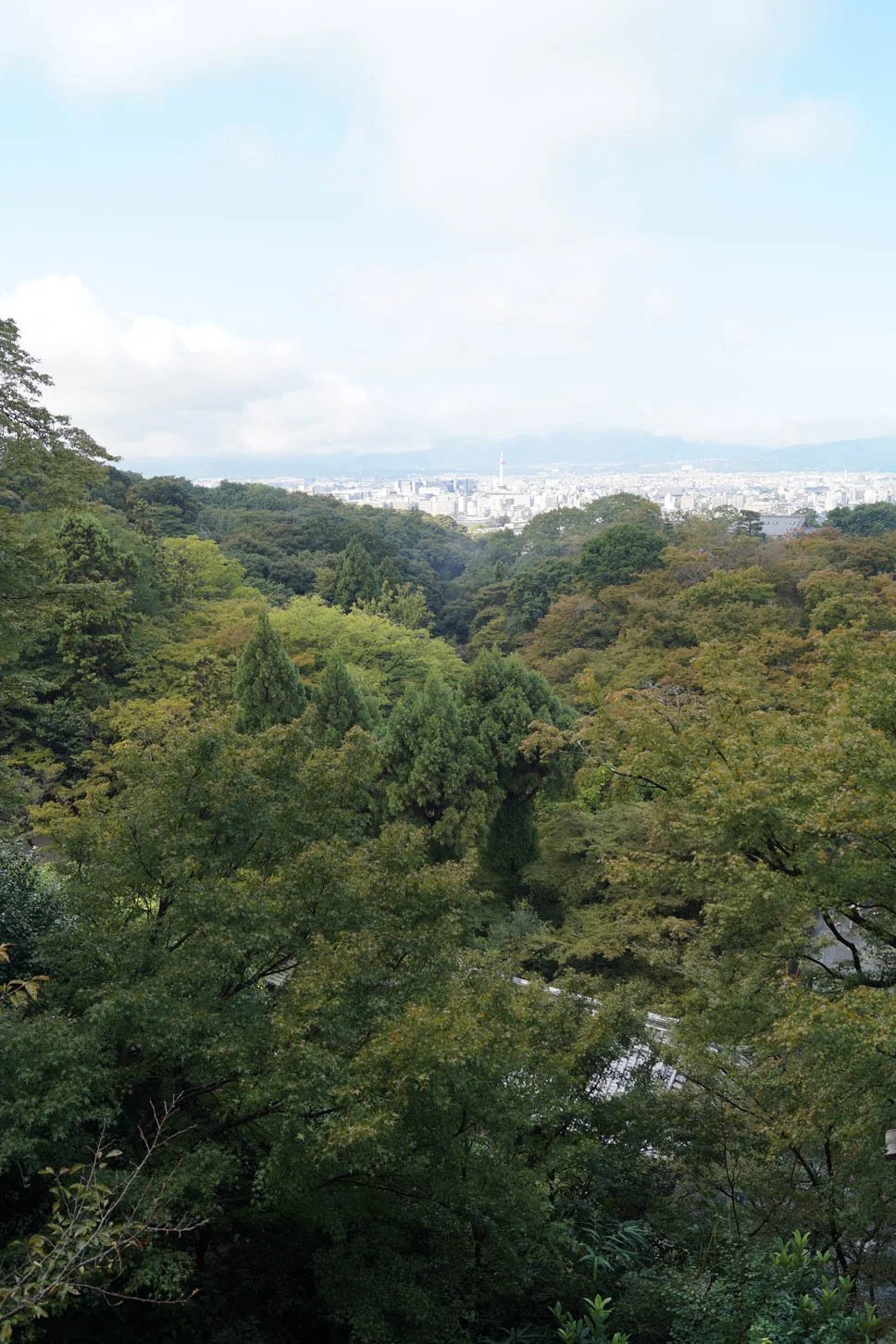 Kyoto - View of Kyoto from Kiyomizu-dera Temple