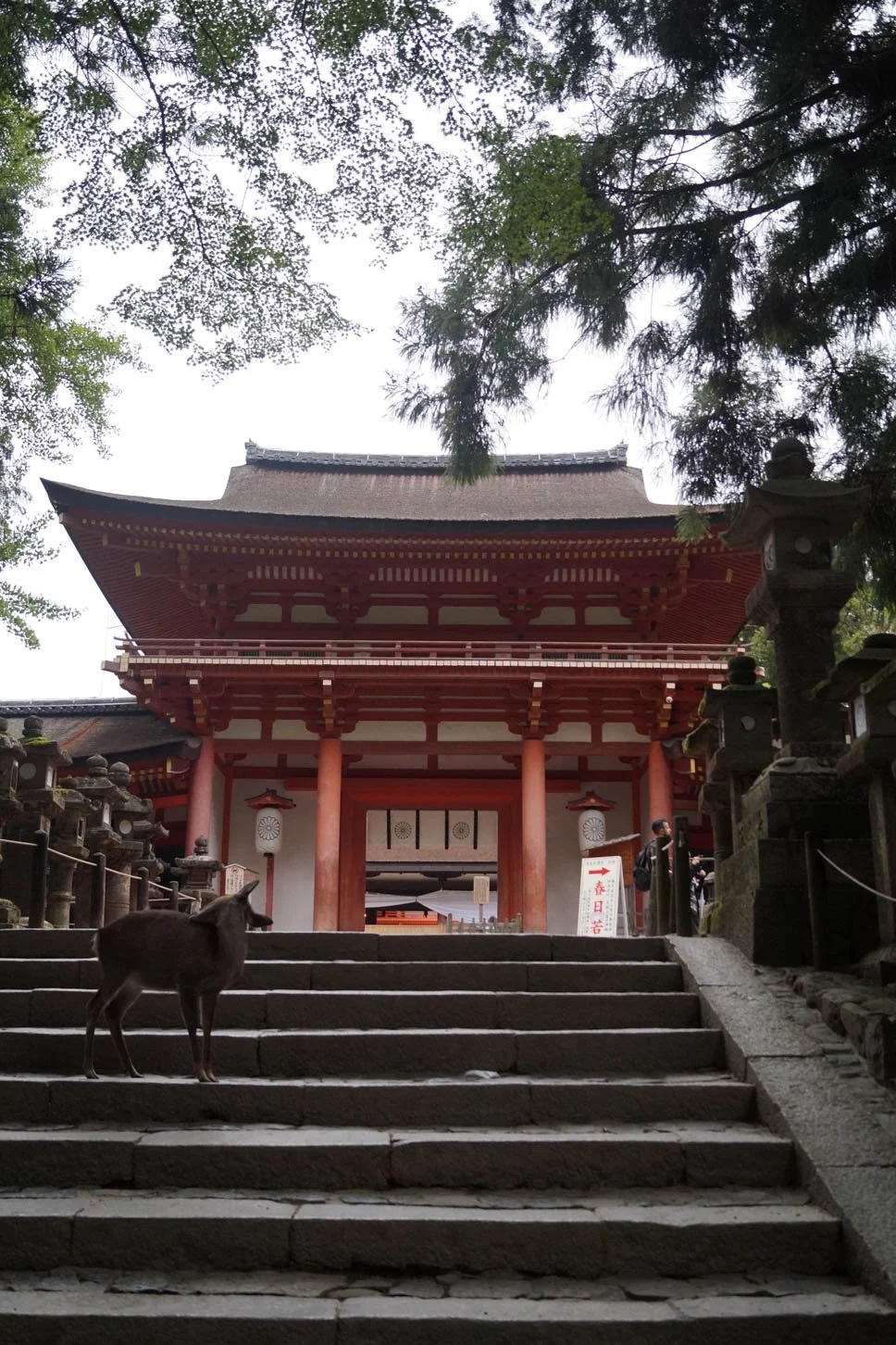 Kyoto - Kasuga Shrine