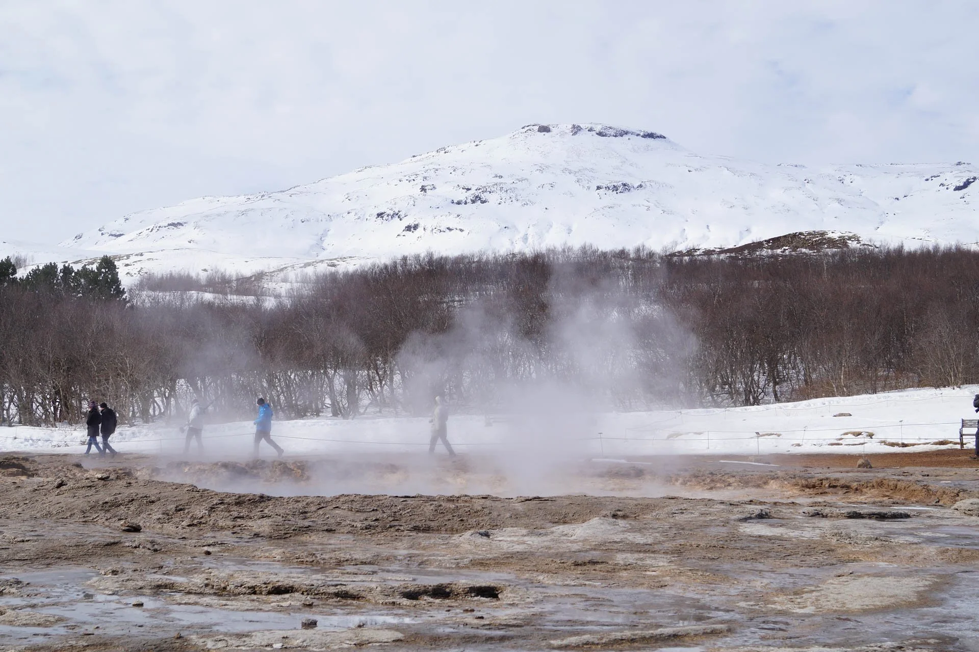 Geysir