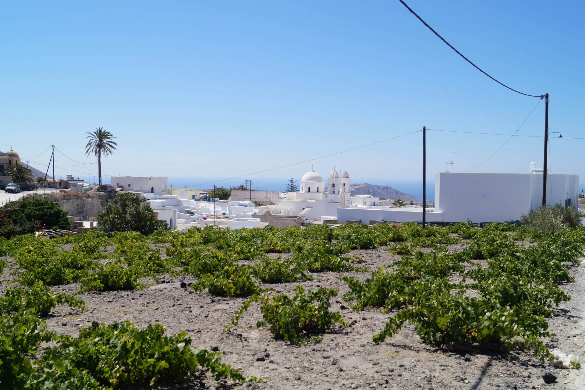 Santorini - Vineyards and Megalochori village