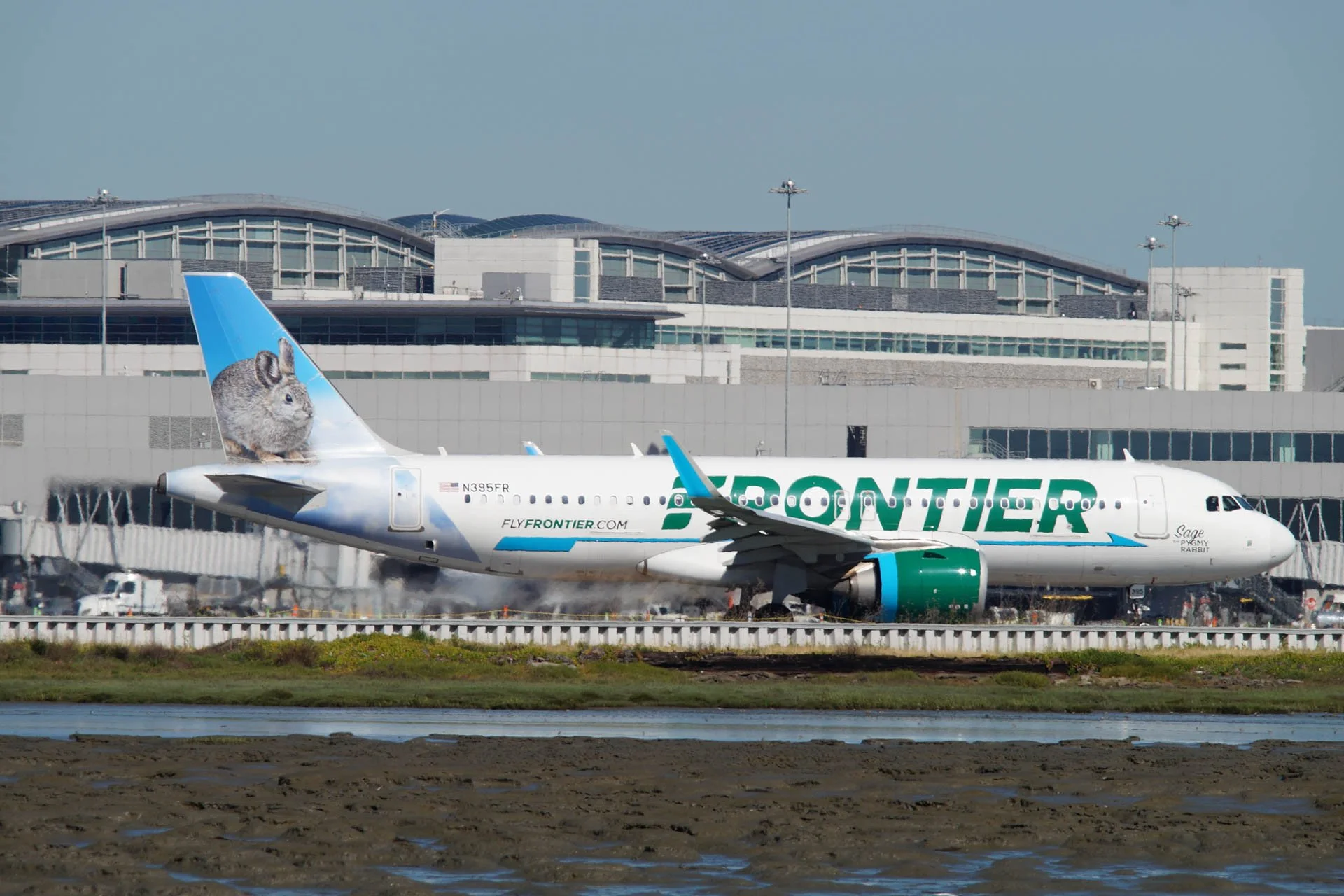 Frontier - N395FR - Airbus A320-200 - Sage the Pygmy Rabbit
