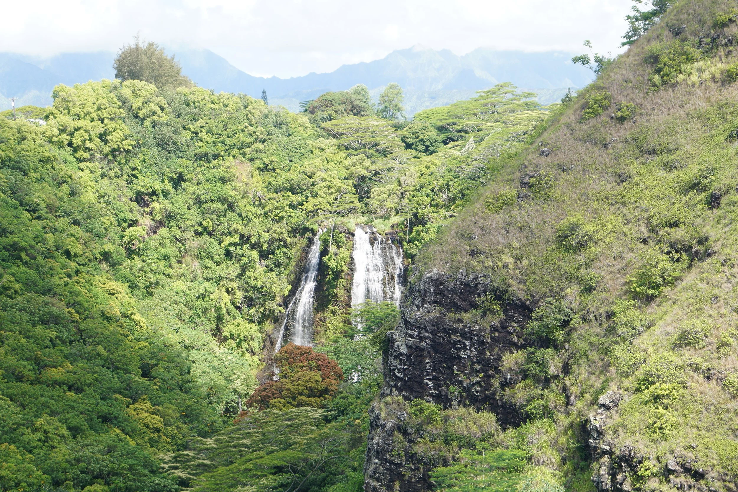 Opaeka'a Falls