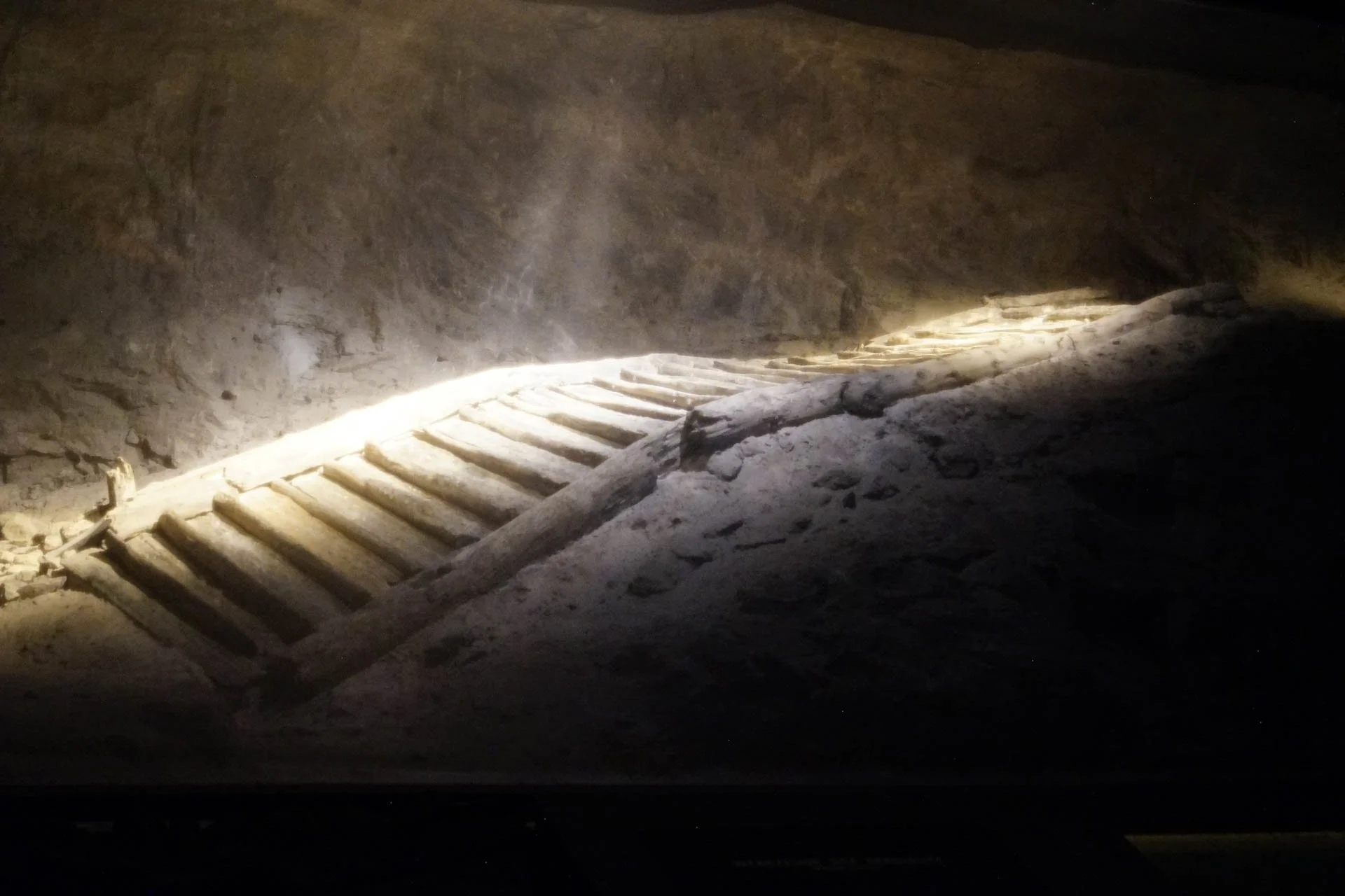 Hallstatt and Salt Mines Tour - Bronze Age Staircase