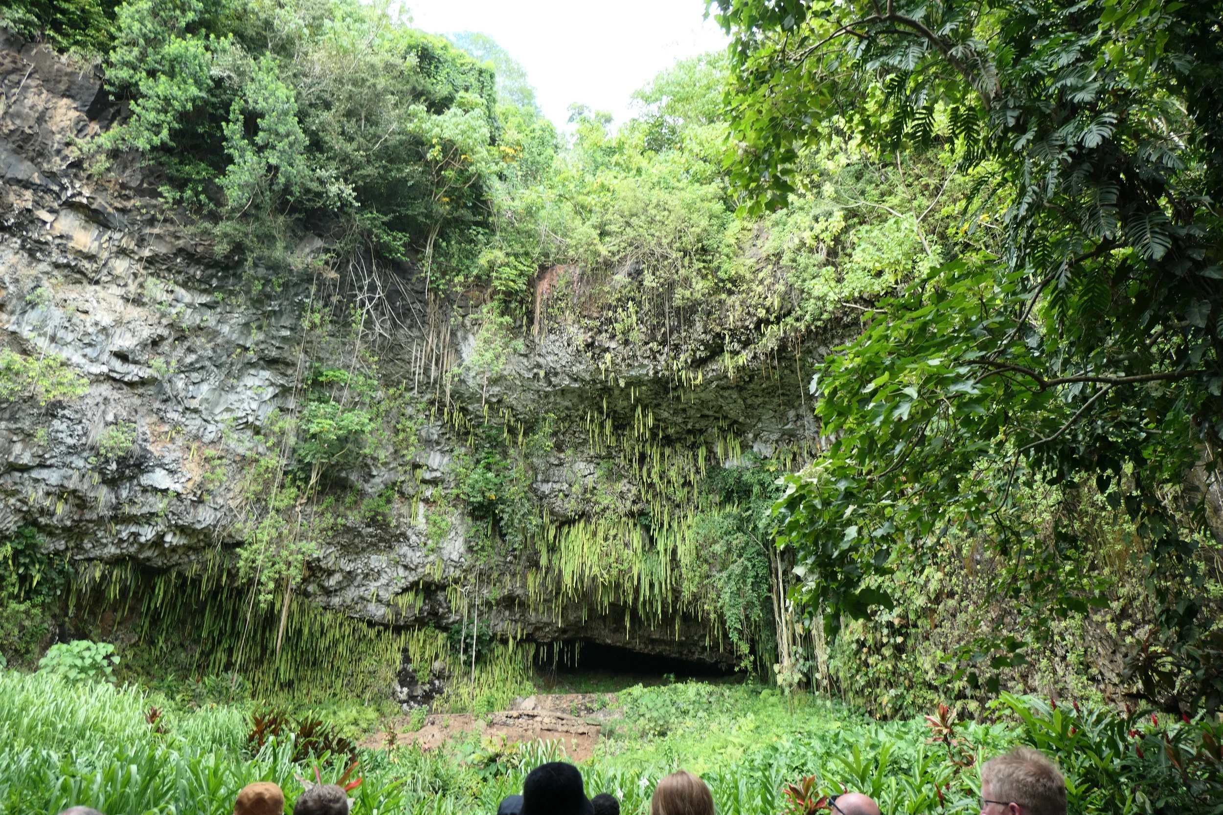 Smith's Fern Grotto