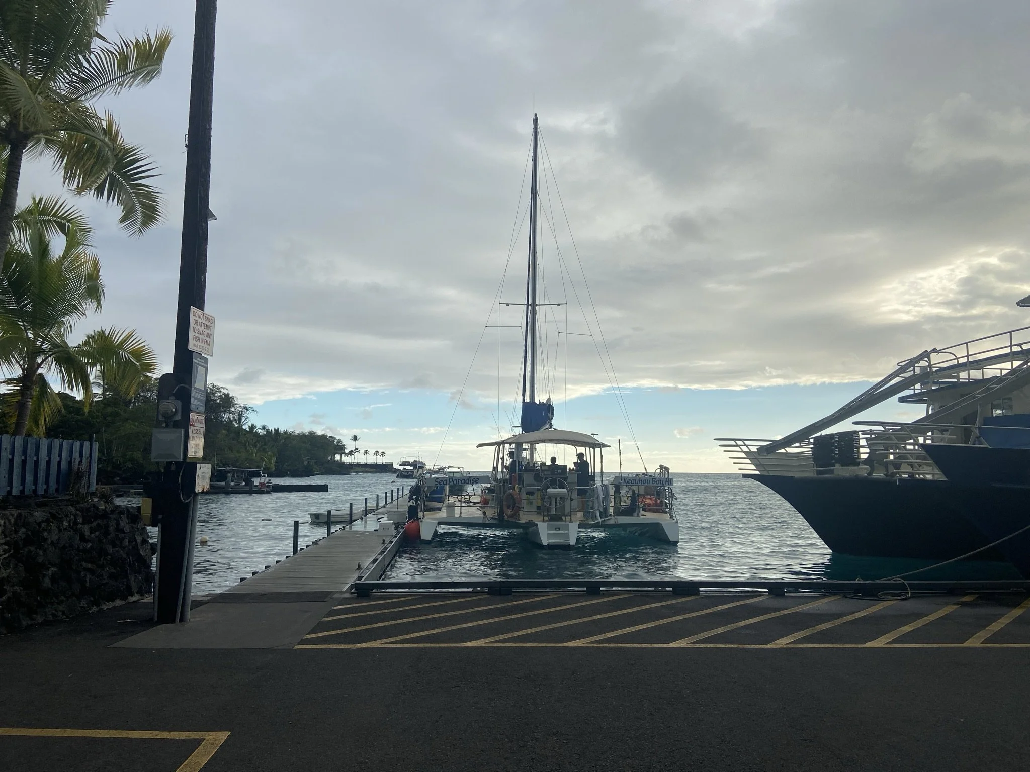 Manta Ray Excursion