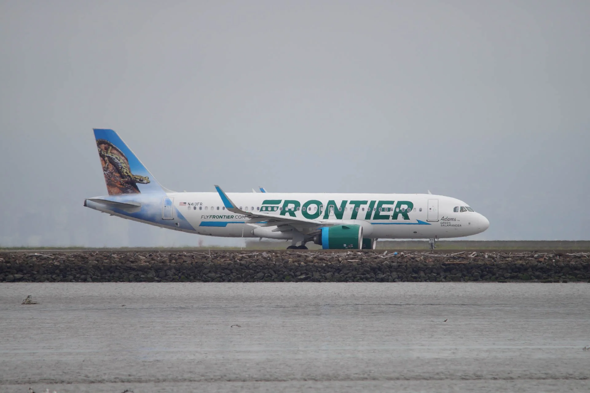 Frontier_N413FR_Airbus A320-200_Adams the Green Salamander