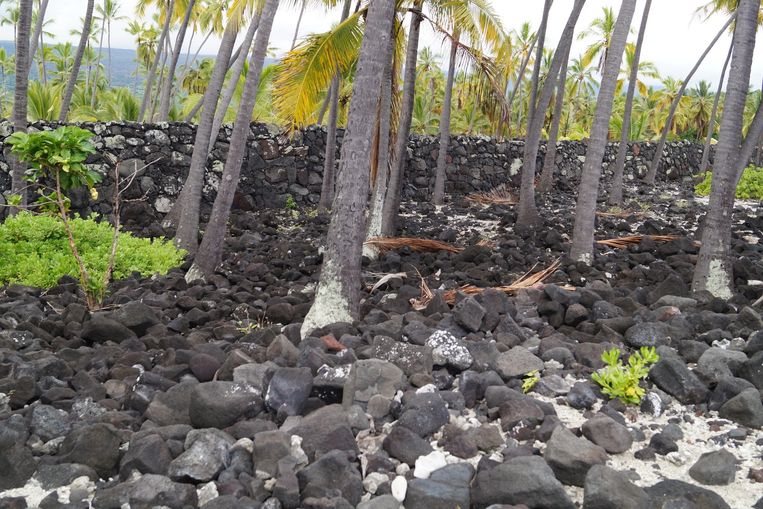 Pu'uhonua O Hōnaunau National Historical Park - Pu'uhonua