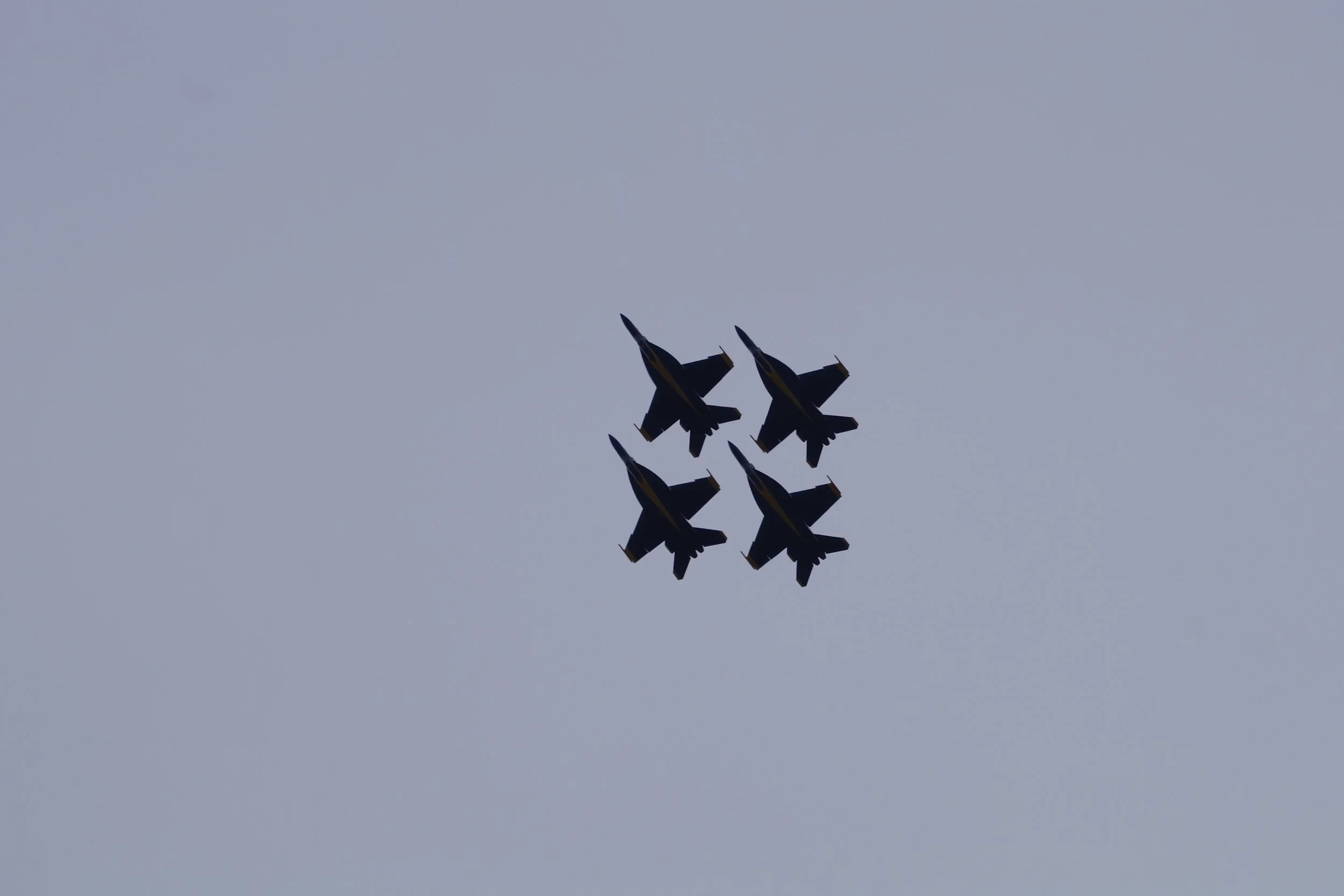 Blue Angels F/A 18 Super Hornet