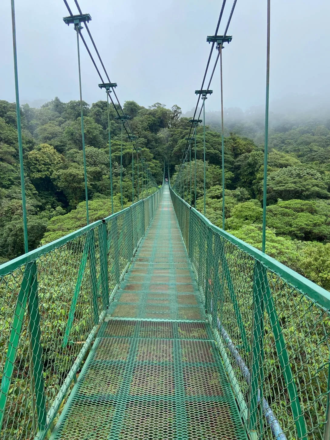 Hanging Bridges Trail at Selvatura Park. There were a number of these bridges.