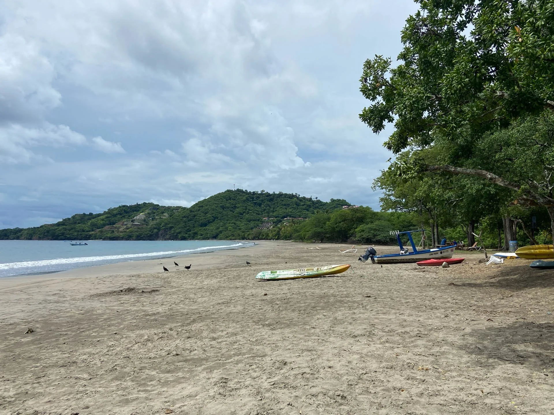 Bosque Del Mar Hotel. After Monte Verde we took another van trip to The Golfo Papagayo.