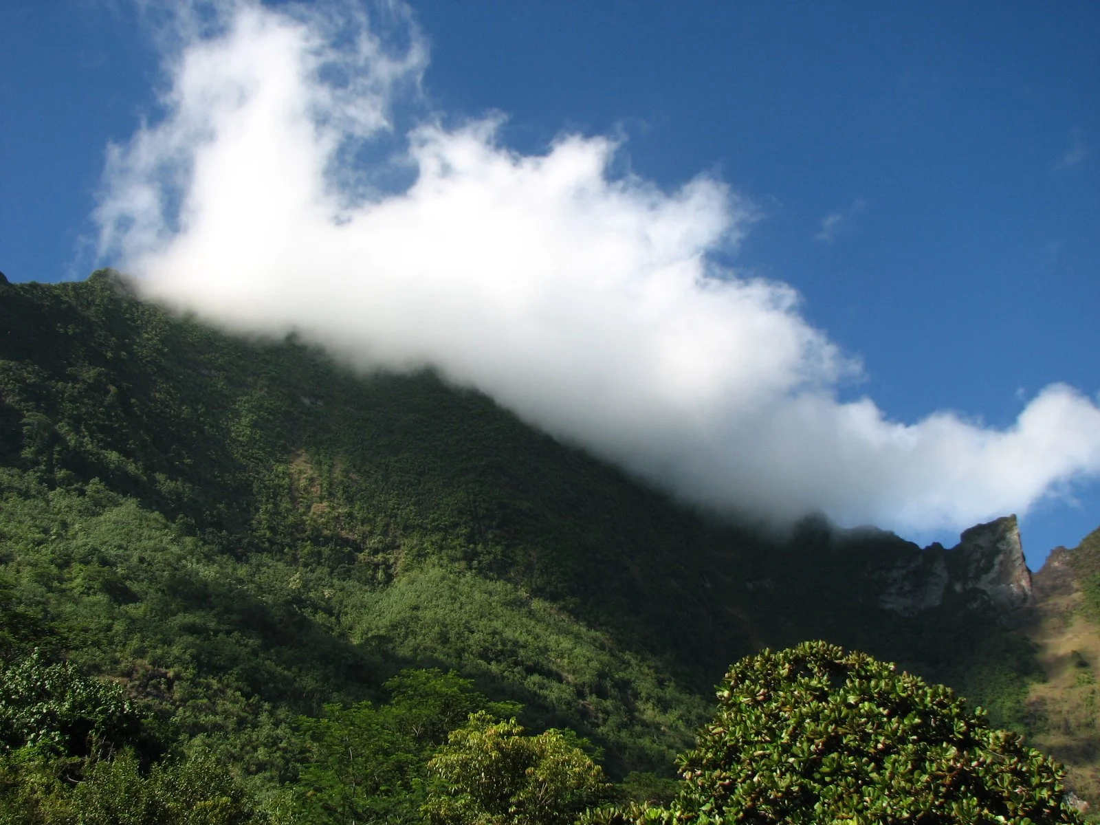 Moorea