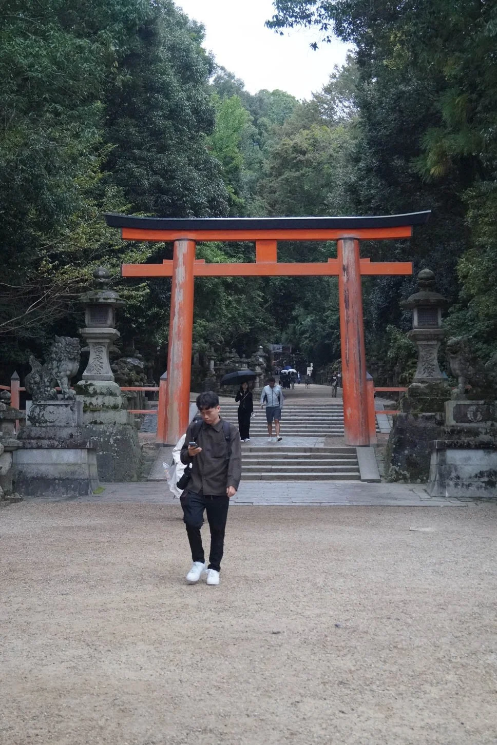 Kyoto - Torii at Kasuga Shrine