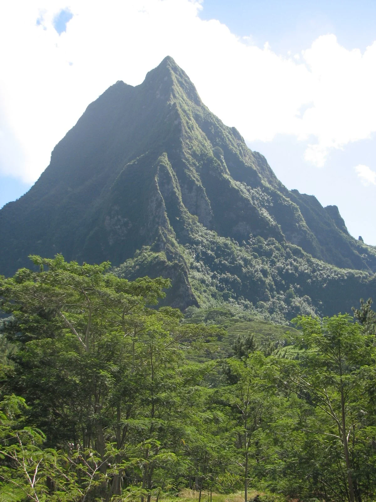 Moorea