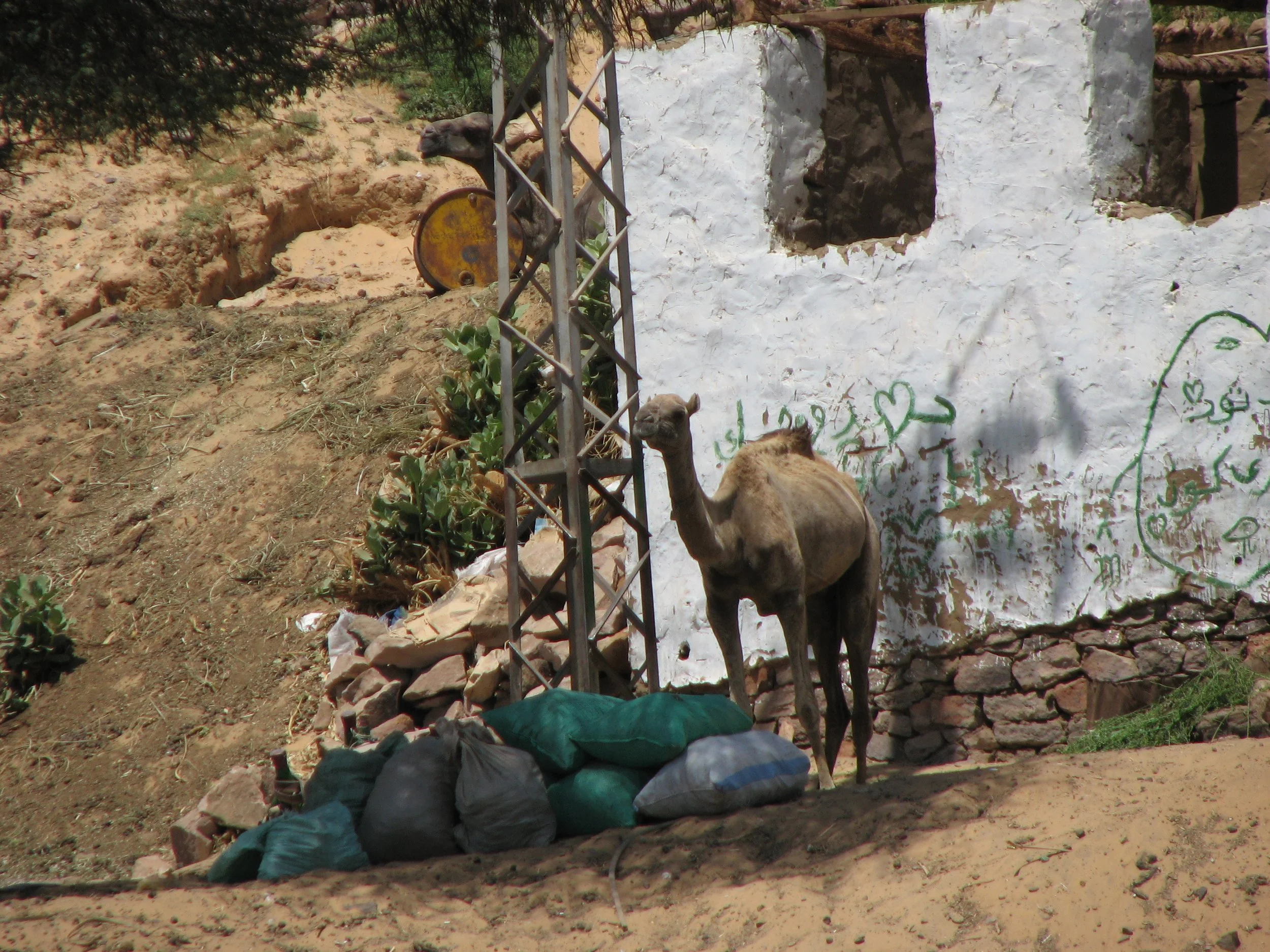 Nubian Village, Aswan