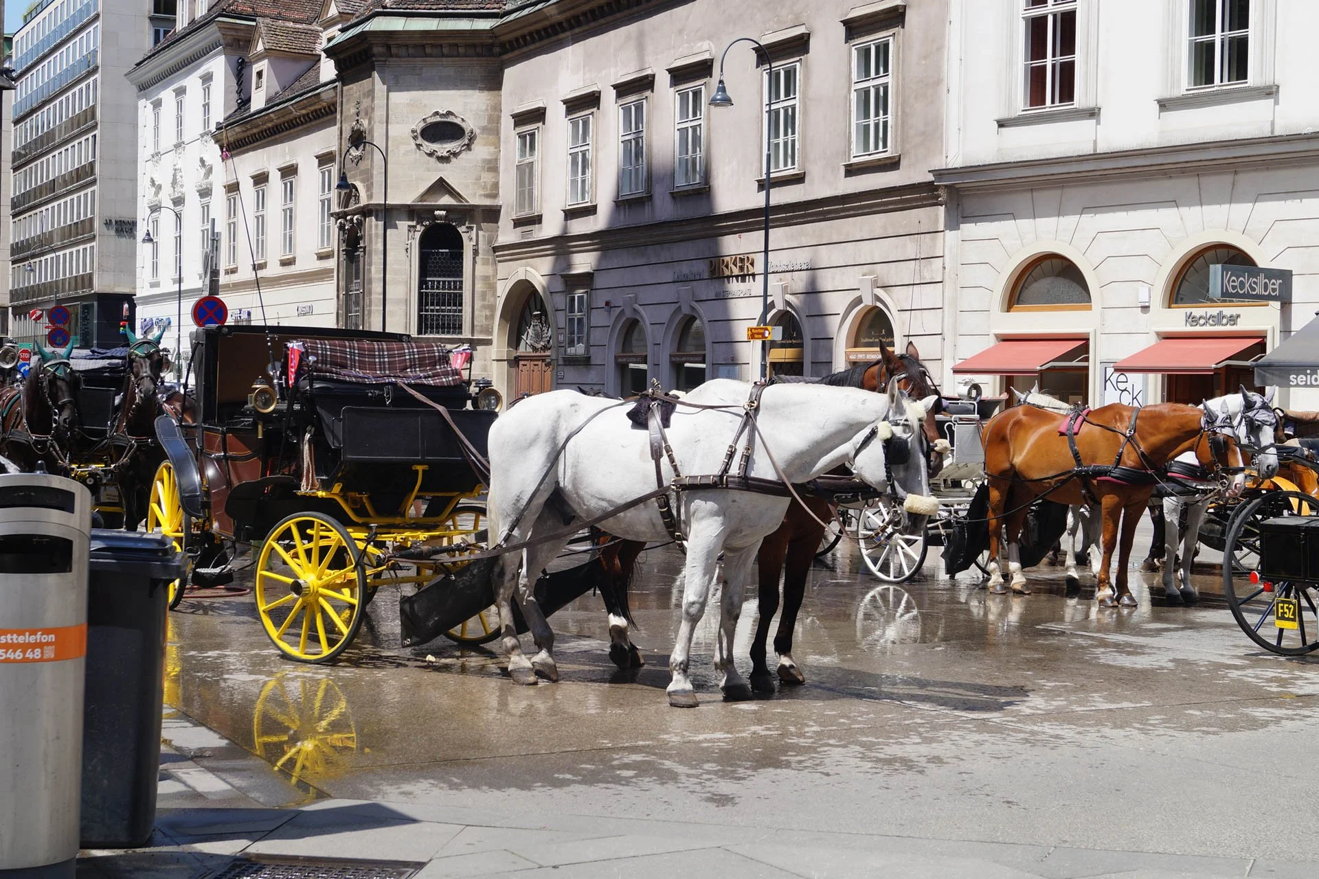 Vienna - Vienna - Horse Drawn Carriages