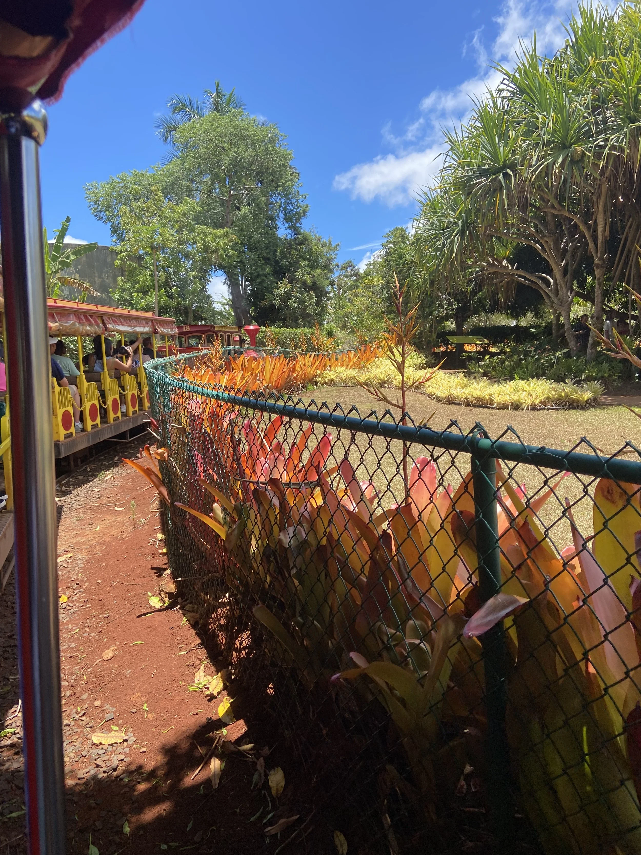Dole Plantation - Pineapple Express