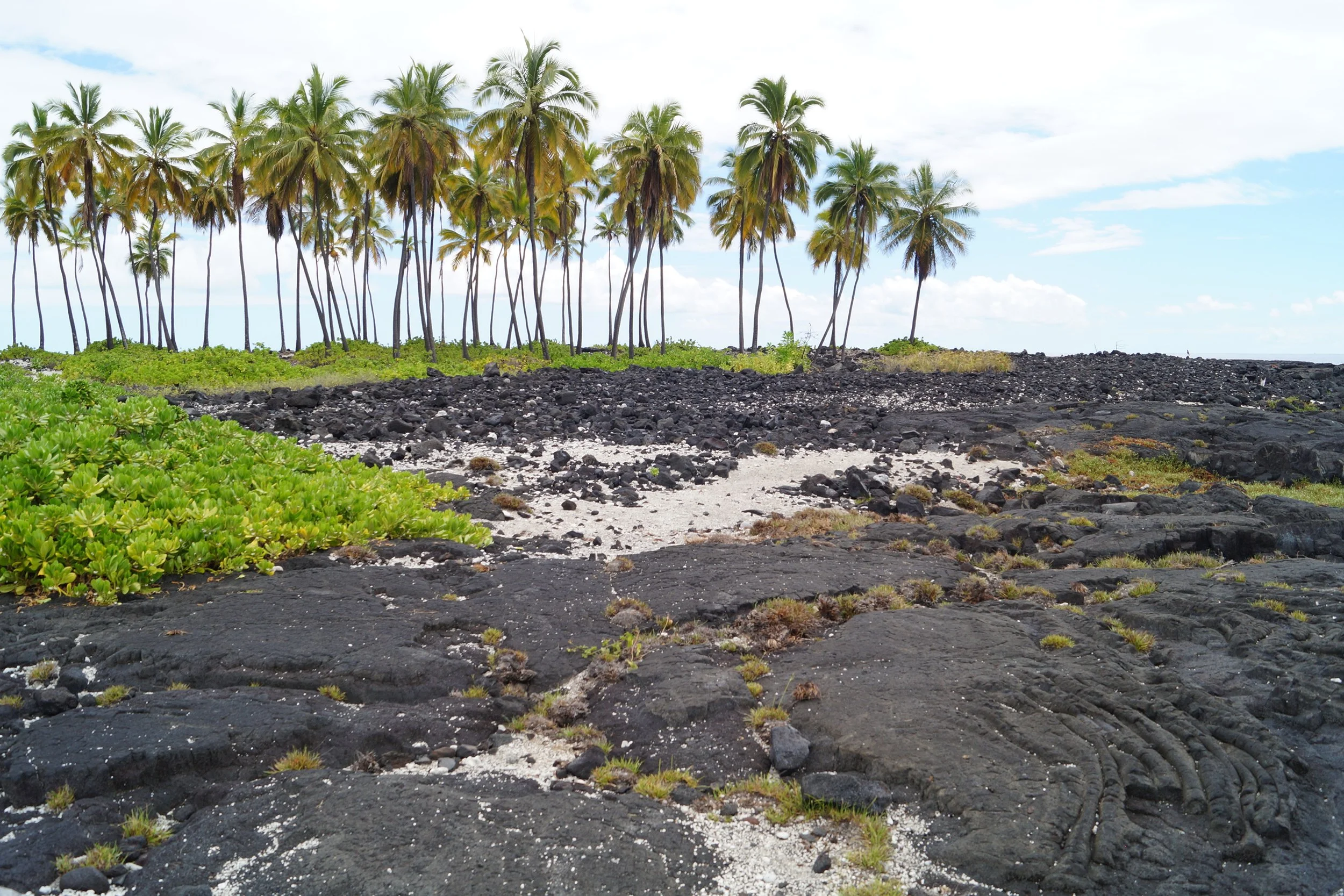 Pu'uhonua O Hōnaunau National Historical Park - Old Heiau Site