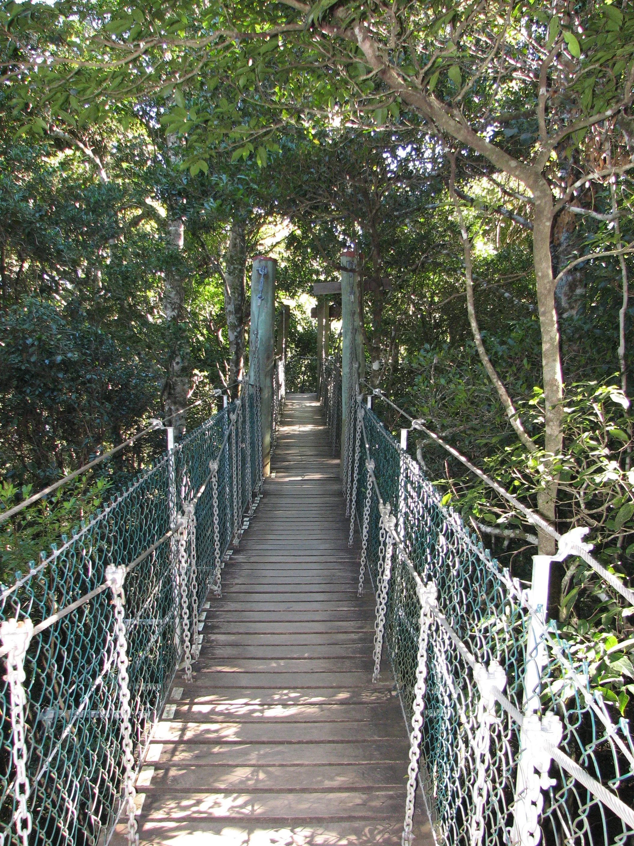 O'Reilly's Preserve and Treetop Walk