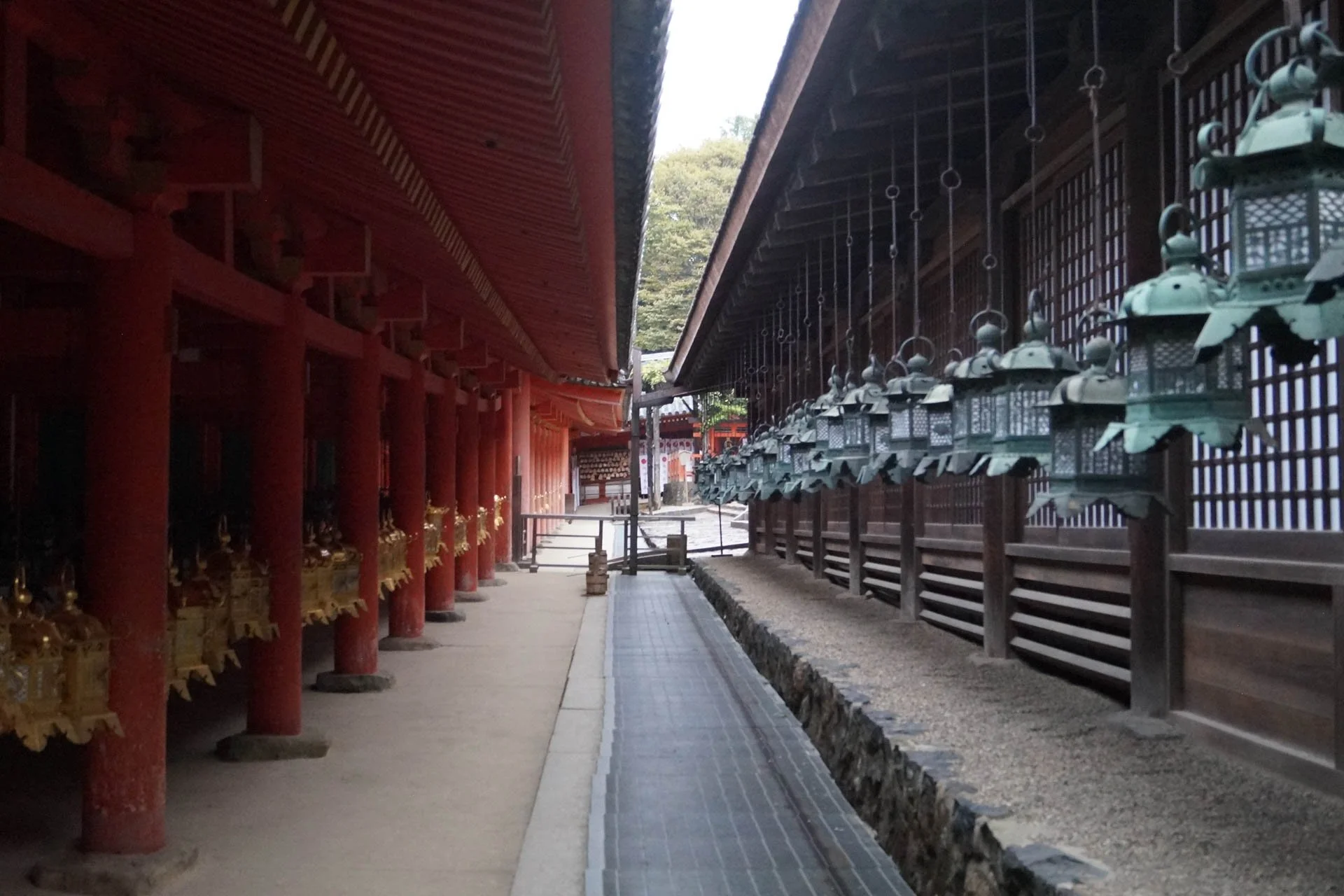Kyoto - Hanging Lanterns at Kasuga Shrine