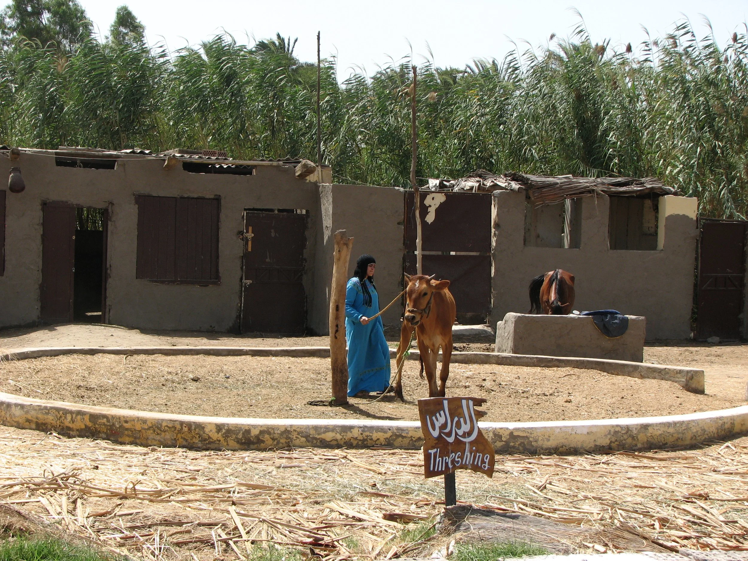 Pharaonic Village