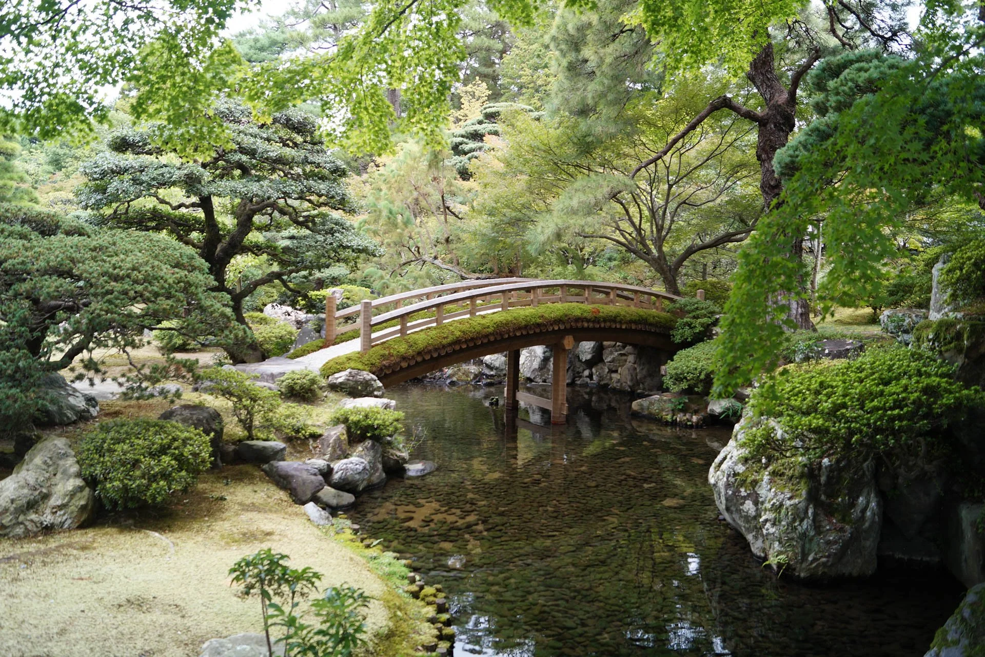 Kyoto - Oikeniwa Garden at Kyoto Imperial Palace
