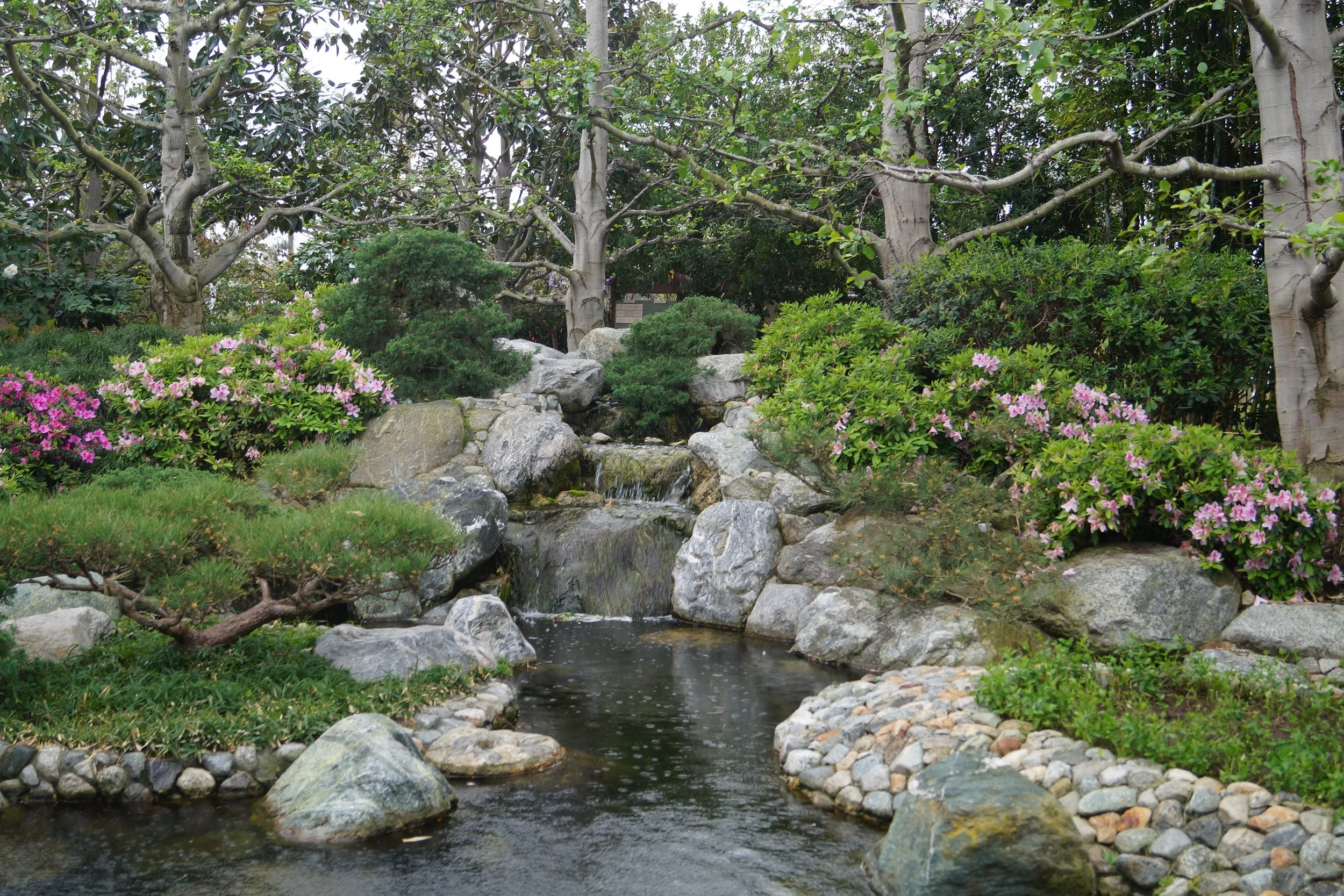 Balboa Park: Japanese Friendship Garden 