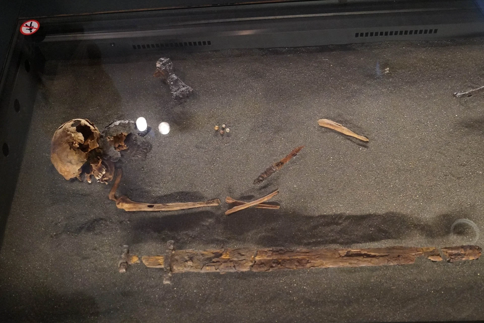 National History Museum - Icelander skeleton