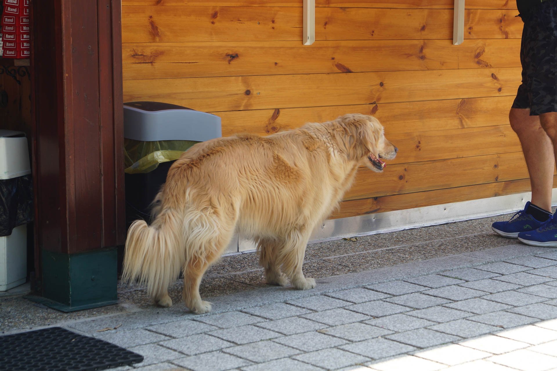 Danube Valley Day Trip from Vienna - A New Friend