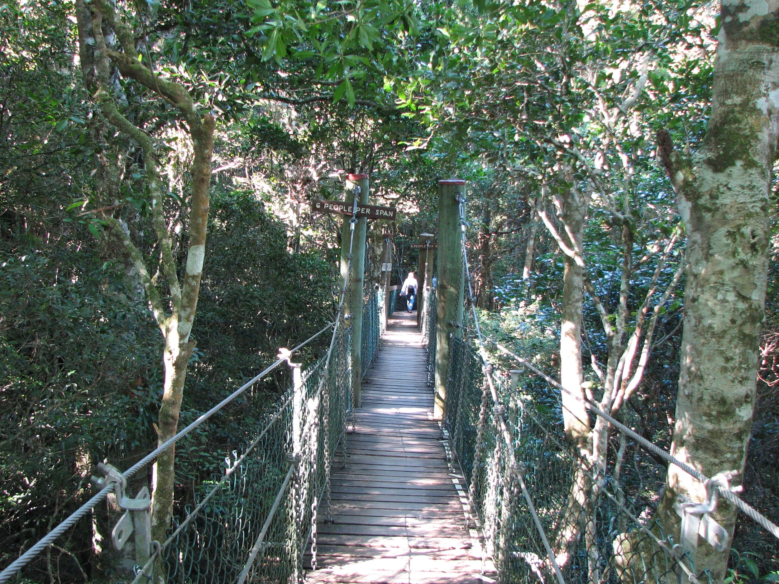 O'Reilly's Preserve and Treetop Walk
