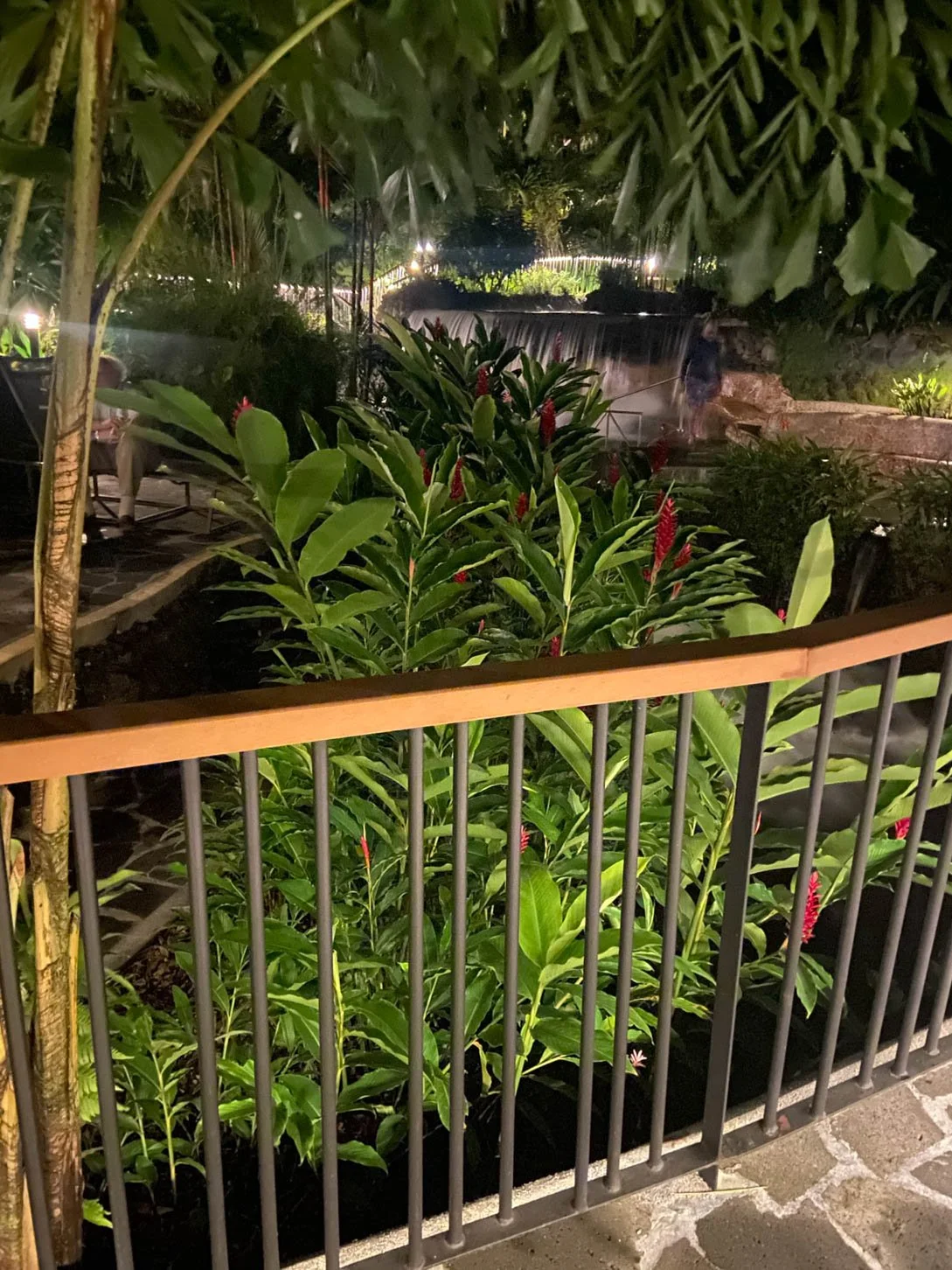 Tabacon Hot Springs