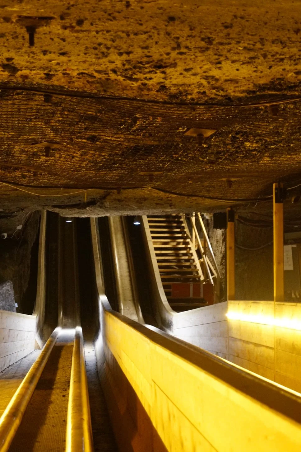 Hallstatt and Salt Mines Tour - Wooden slide