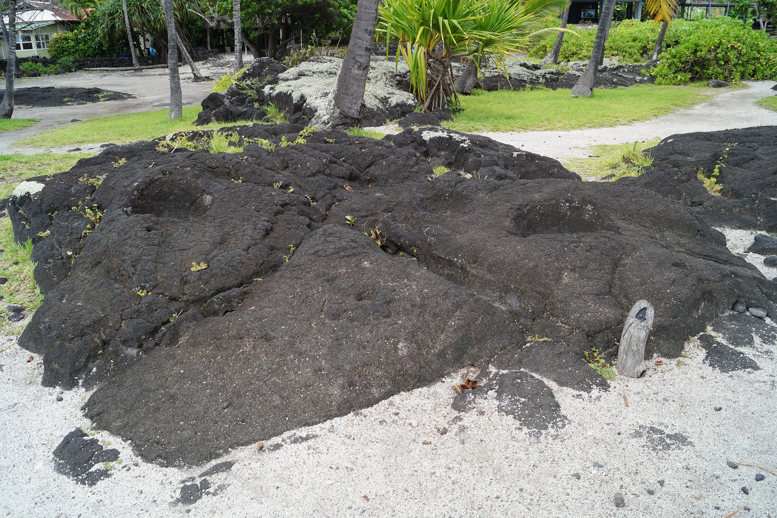 Pu'uhonua O Hōnaunau National Historical Park - Kanoa