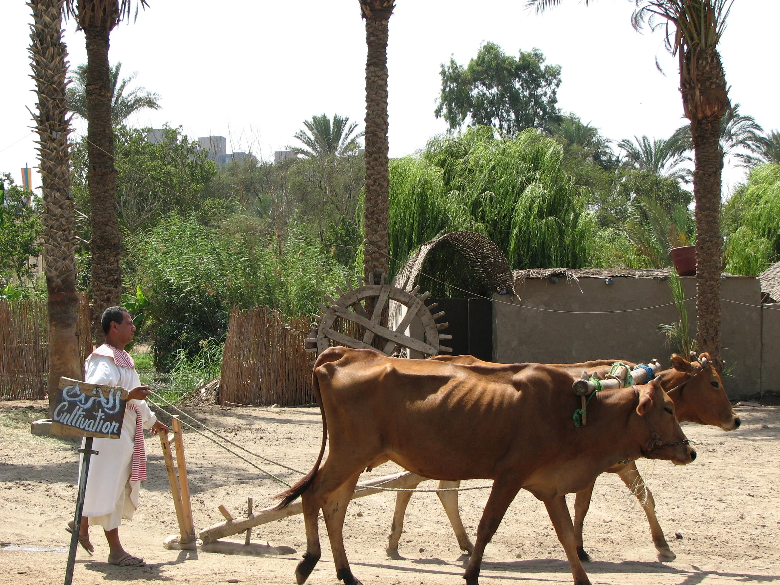 Pharaonic Village