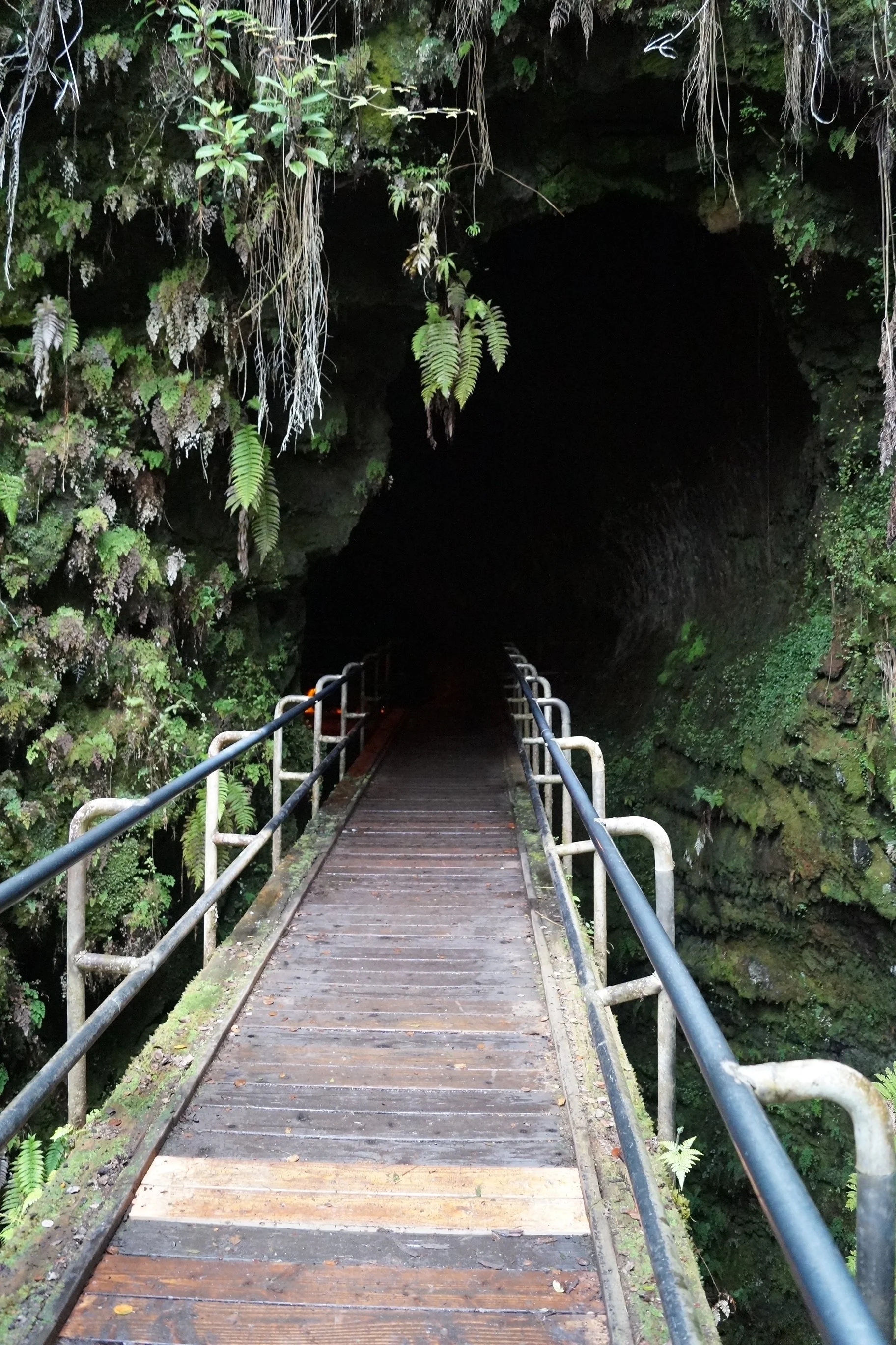 Volcanoes National Park - Thurston Lava Tube