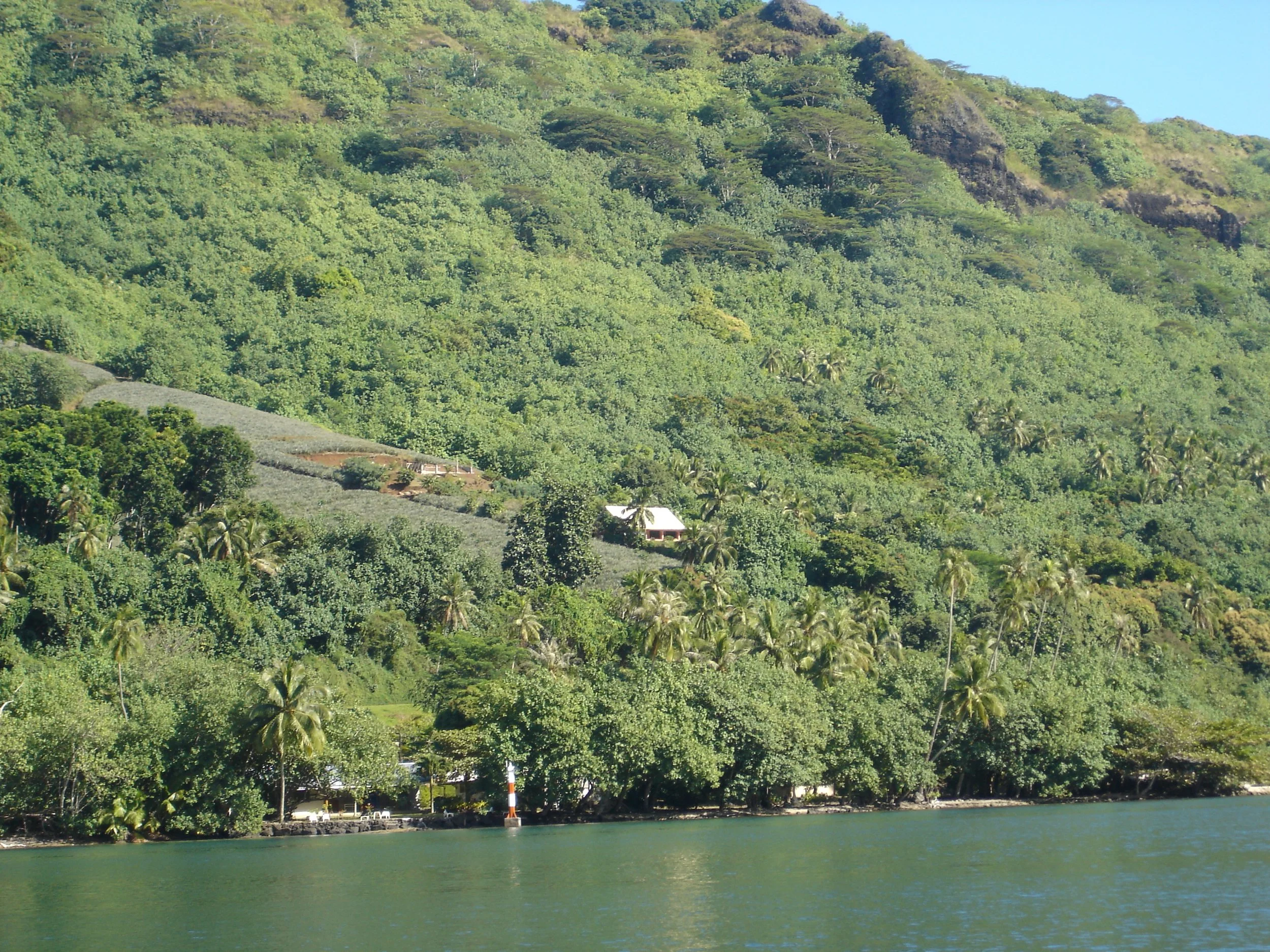 Moorea