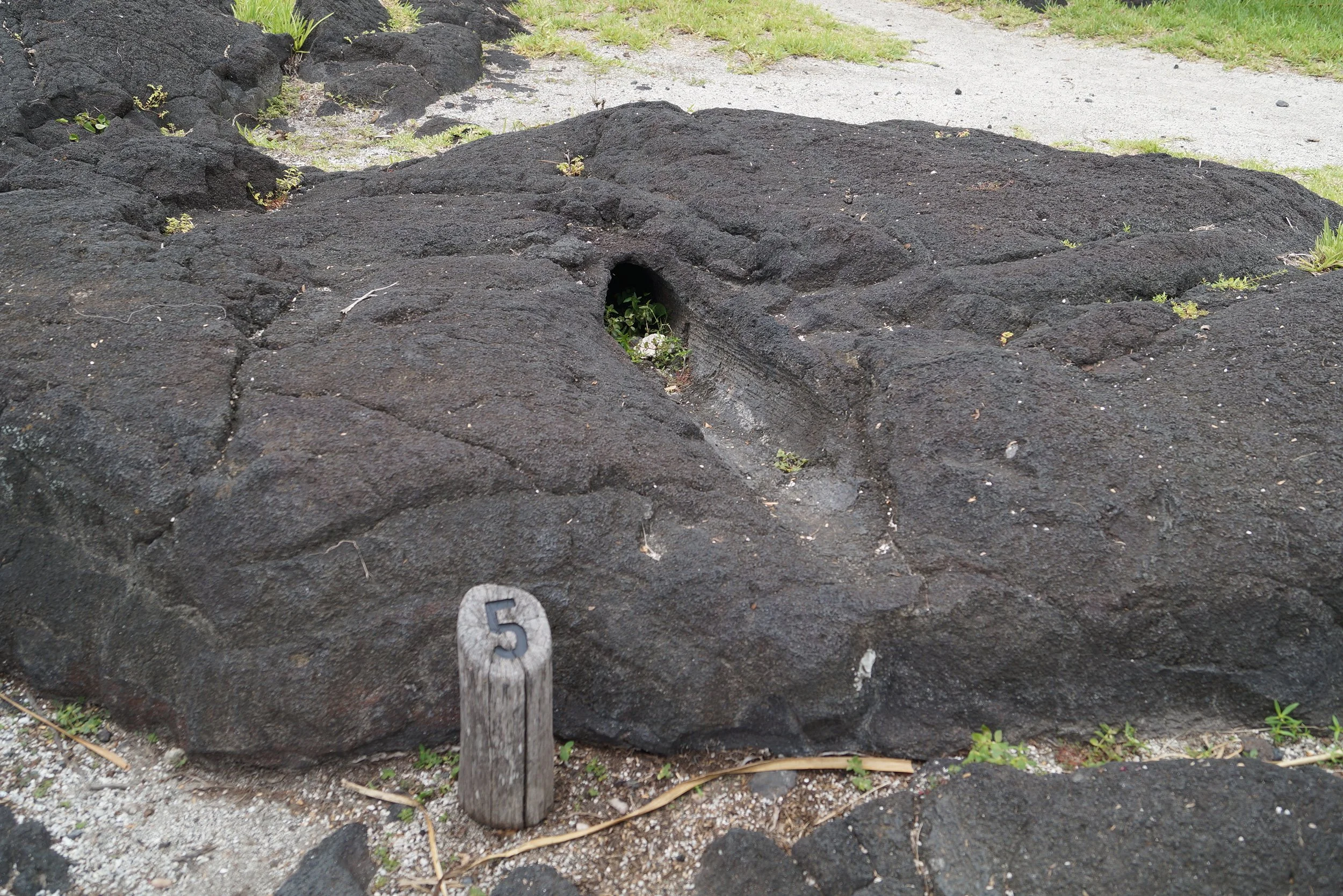 Pu'uhonua O Hōnaunau National Historical Park - Tree Mold